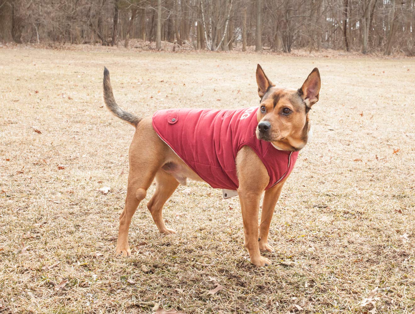 TOUCHDOG Waggin Swag Fashion Designer Reversible 3M Insulated Pet Dog Coat Jacket, X-Small, Pink / White