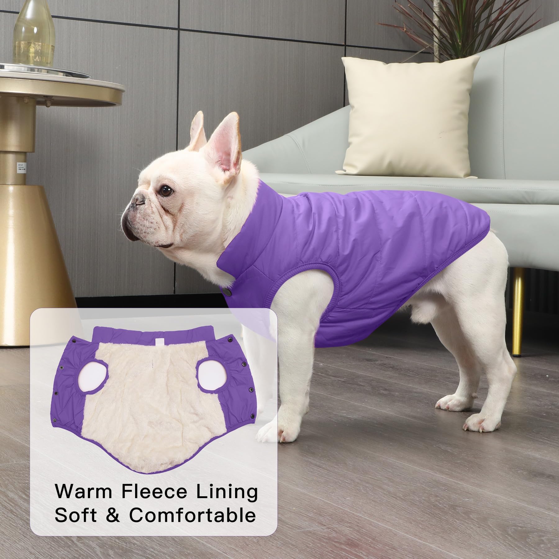 Joydaog 2 Layers Fleece Lined Warm Dog Jacket For Winter Cold Weather,Soft Windproof Large Dog Coat,Purple Xxl