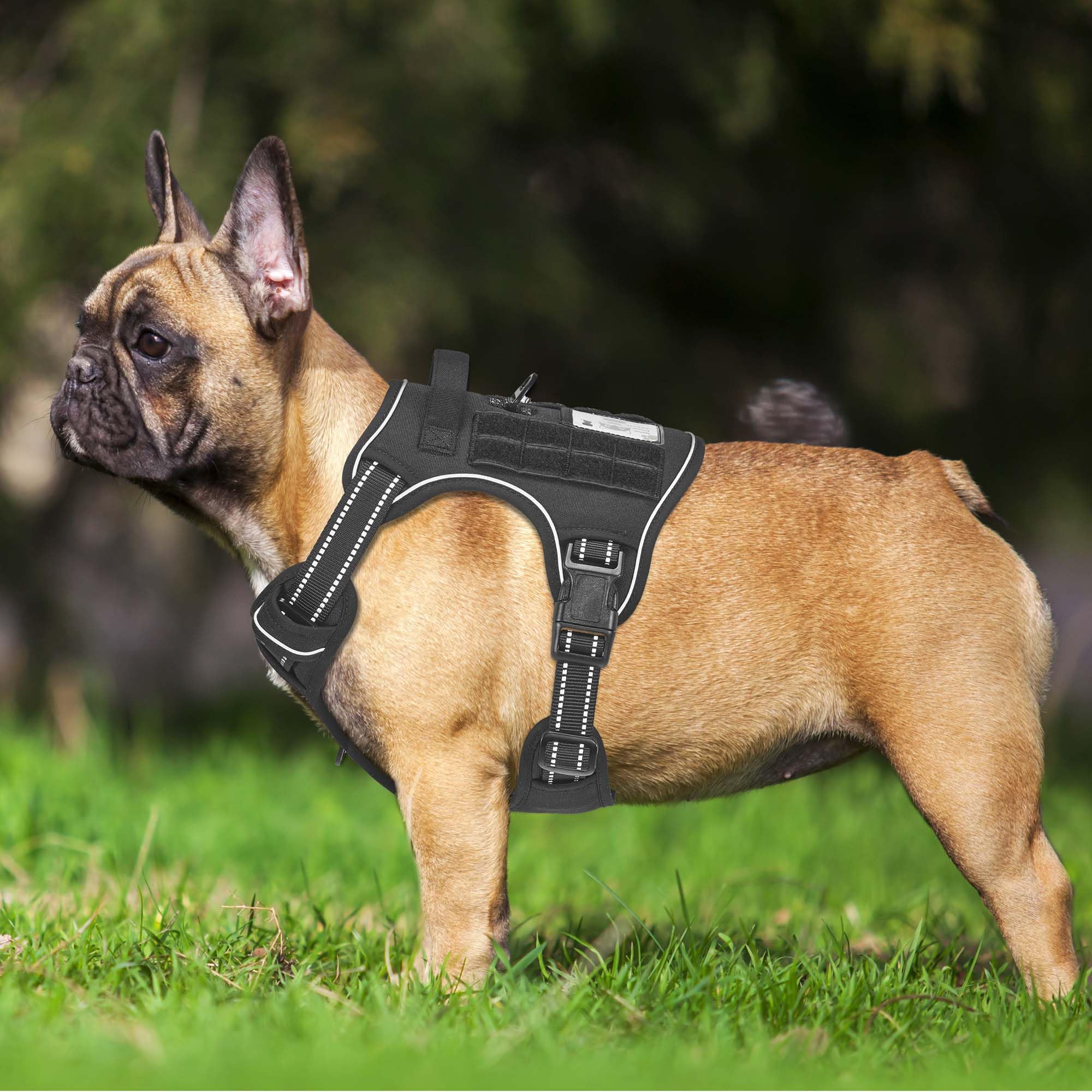 Beebiepet Heavy Duty Tactical Dog Harness For Small Dogs, No Pull Adjustable Pet Harness Reflective Service Training Easy Contro