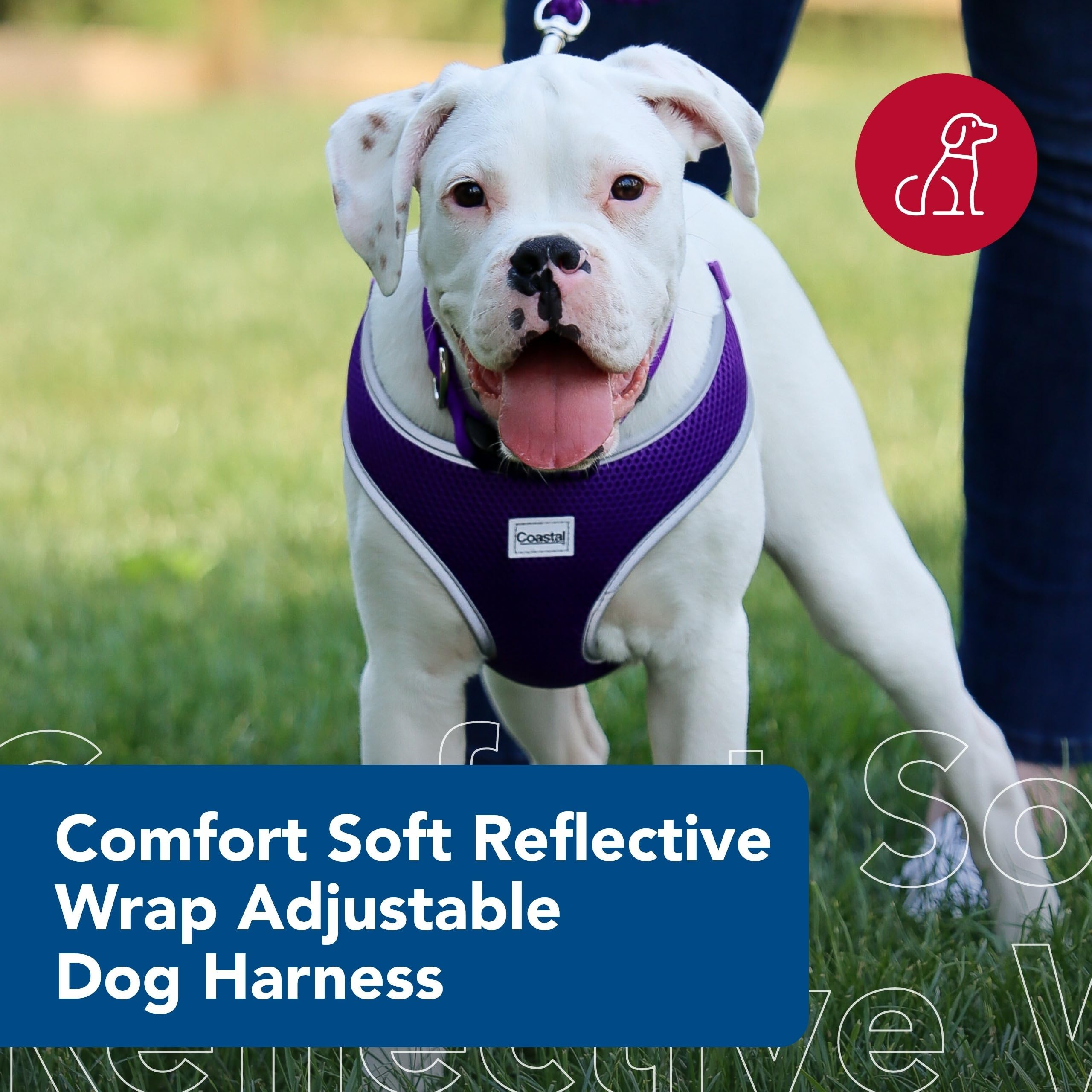 Coastal Pet Comfort Soft Reflective Wrap Adjustable Dog Harness - No-Pull Dog Harness For Small & Large Dogs - Purple - 5/8' X 19'–23'