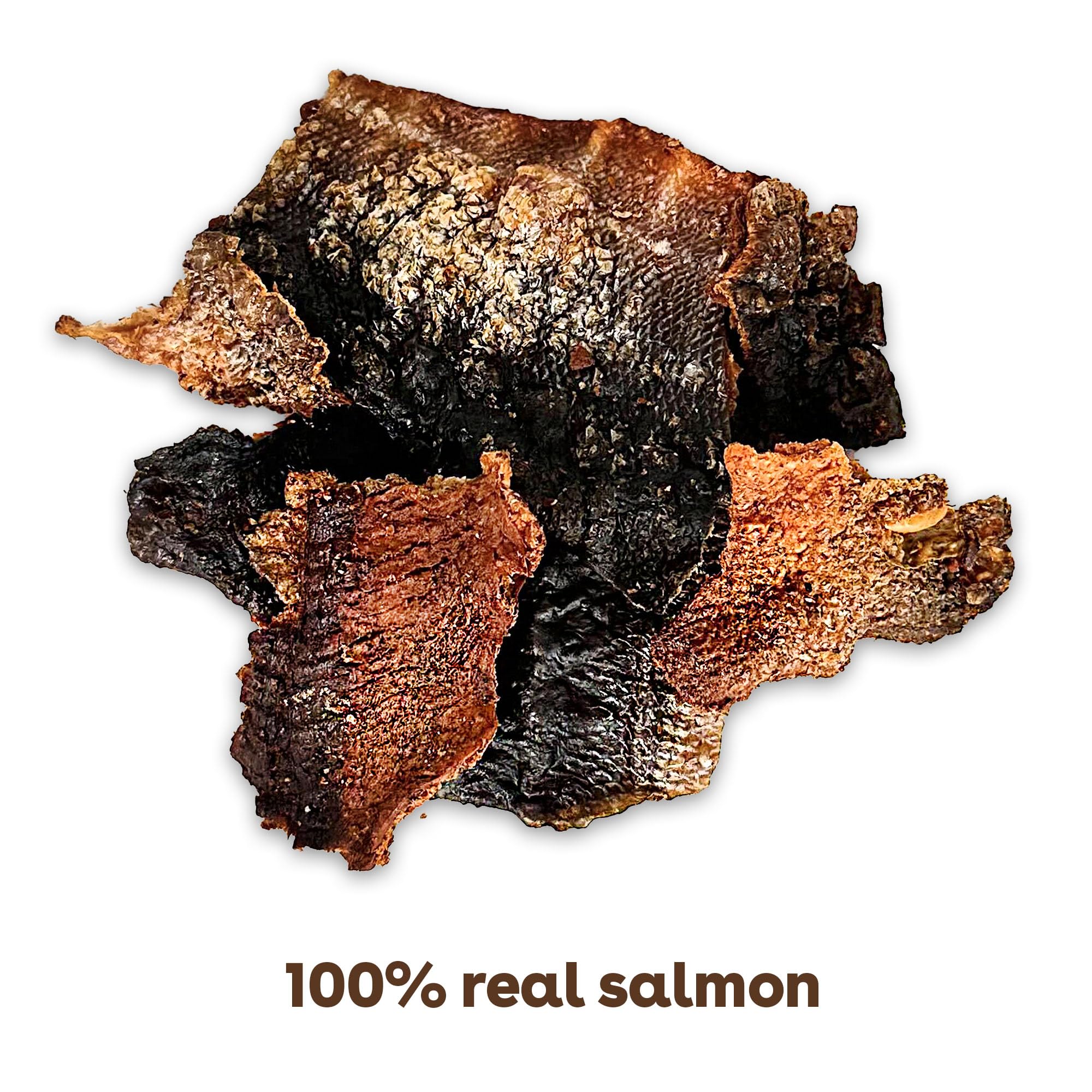 Pupford Crunchy Jerky Treats for Dogs & Puppies, Made in USA, Single Ingredient, No Fillers (Salmon, 8 oz)