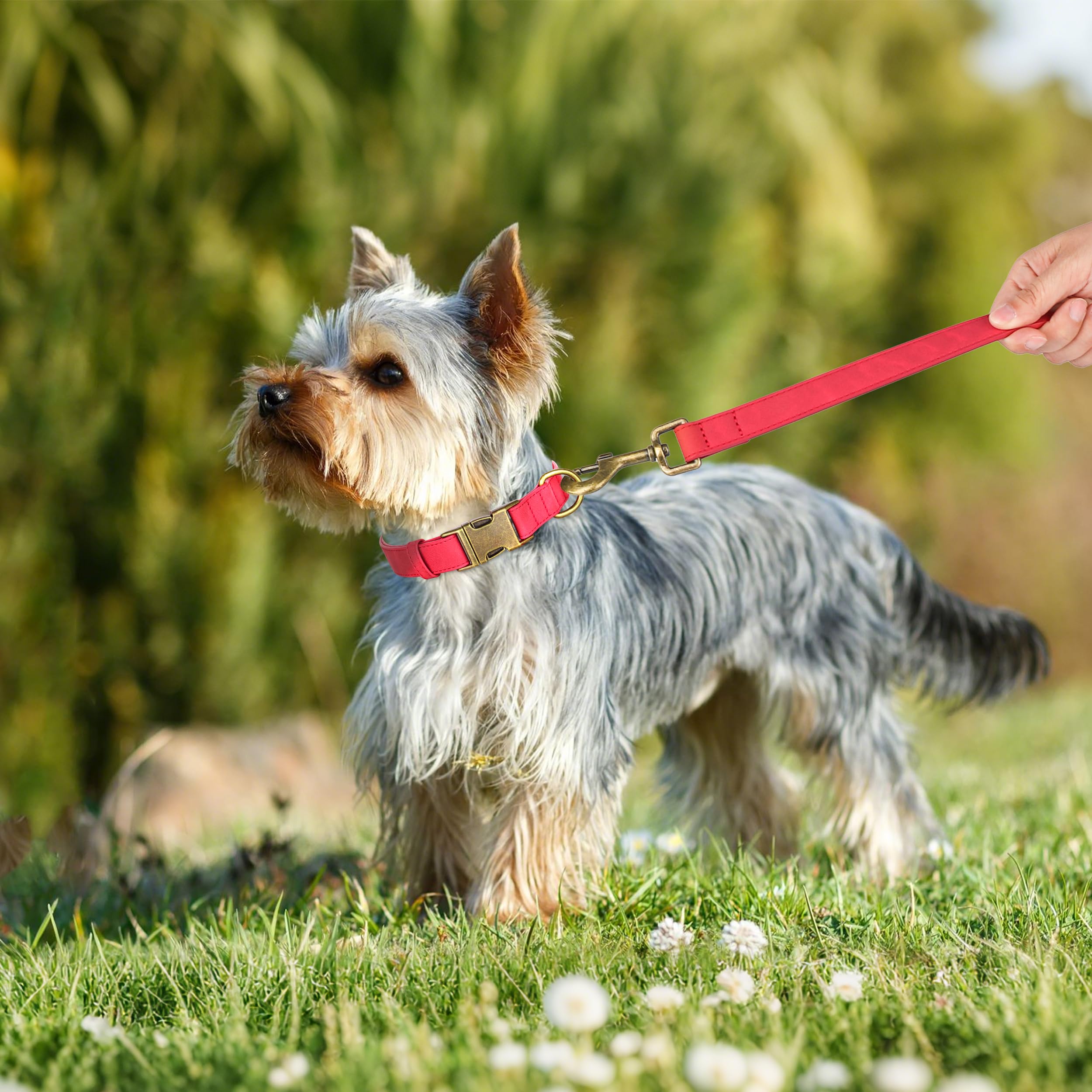 Didog Soft Leather Dog Collar, Durable Quick Released Dog Collars With Metal Buckle, Adjustable Red Pet Collar Faux Leather For