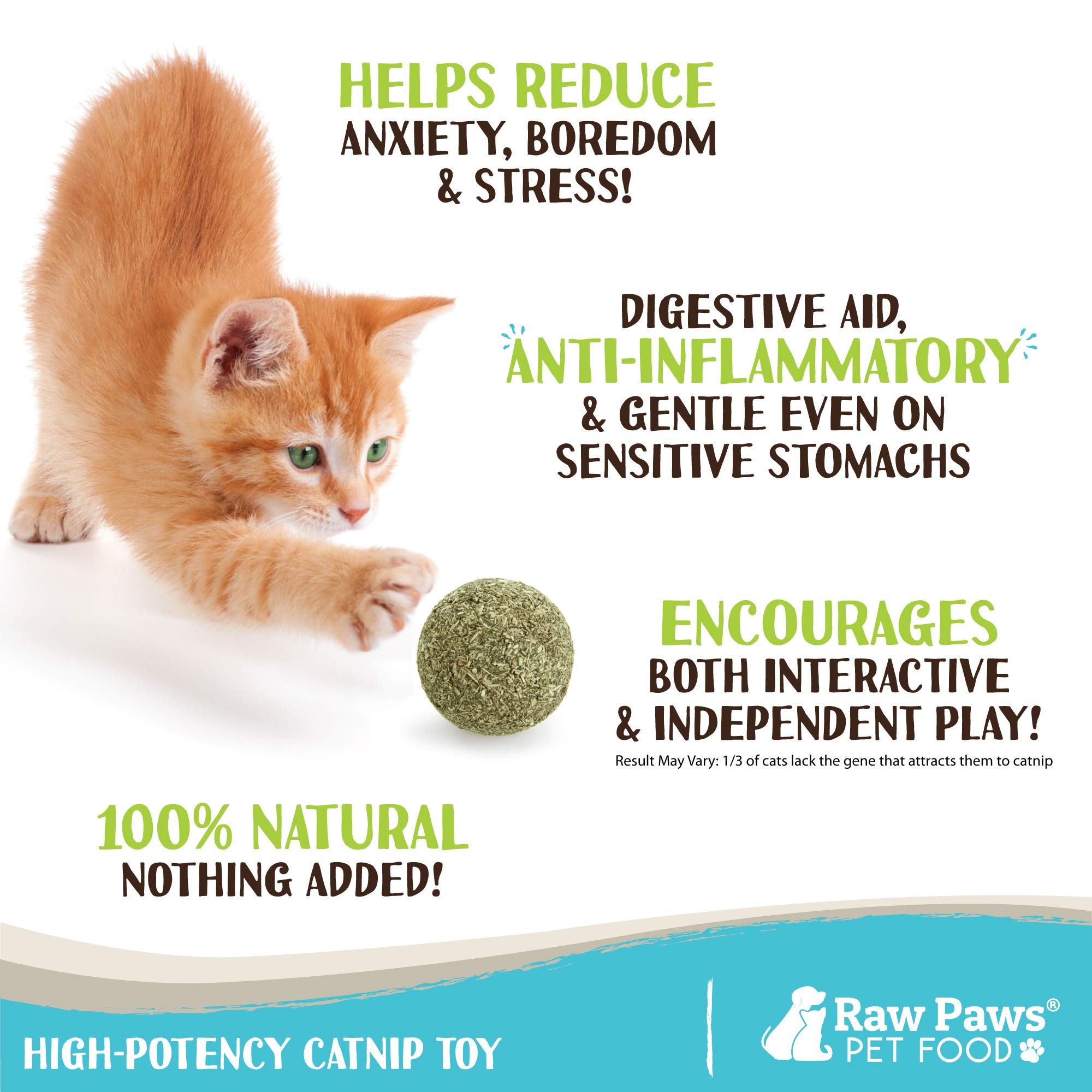 Raw Paws Catnip Balls - Interactive Cat Toy, 6-Pack, Natural Catnip for Indoor Cats and Kittens