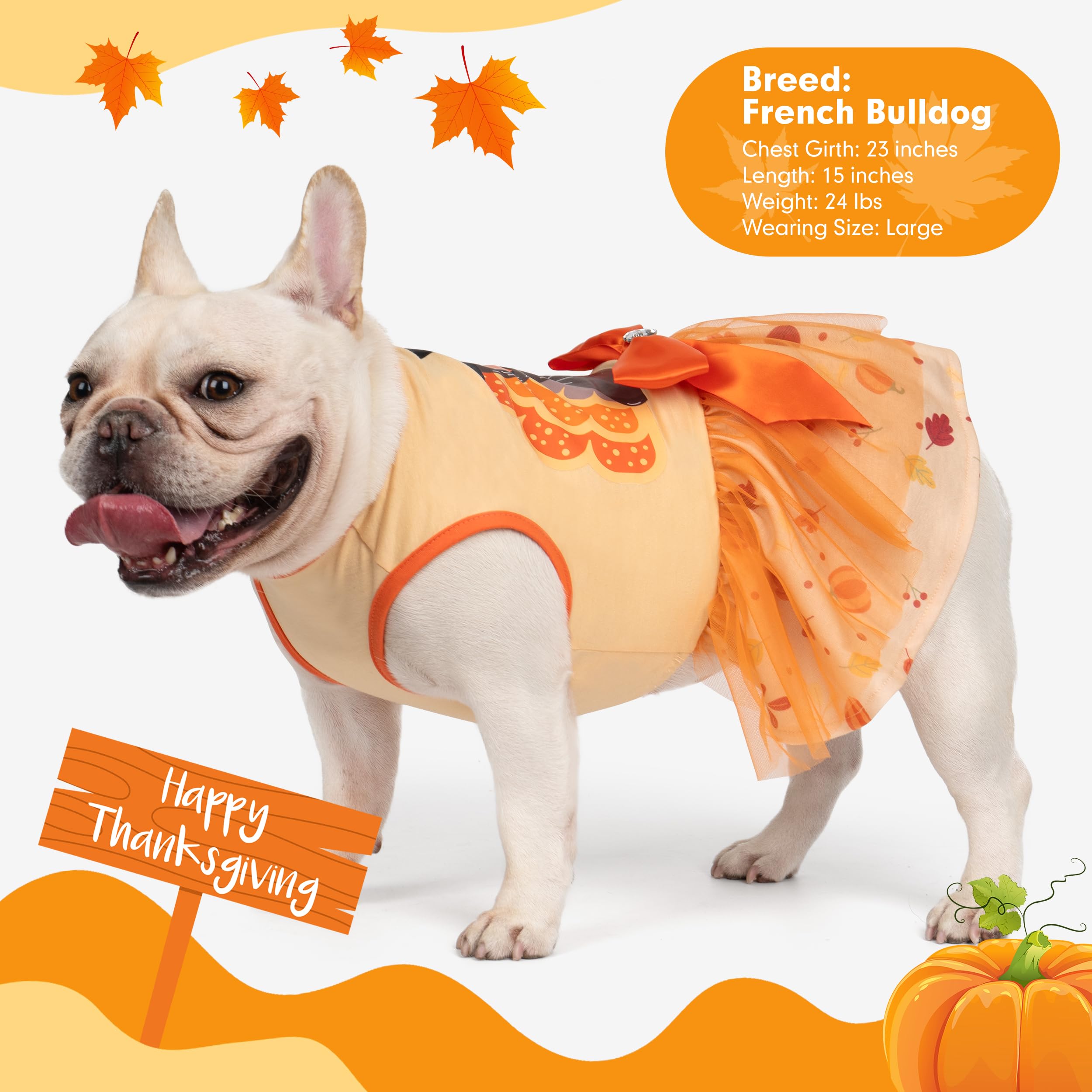 Cyeollo Thanksgiving Day Turkey Dog Dress - Tulle Holiday Outfit For Medium Large Dogs, Size 2Xl
