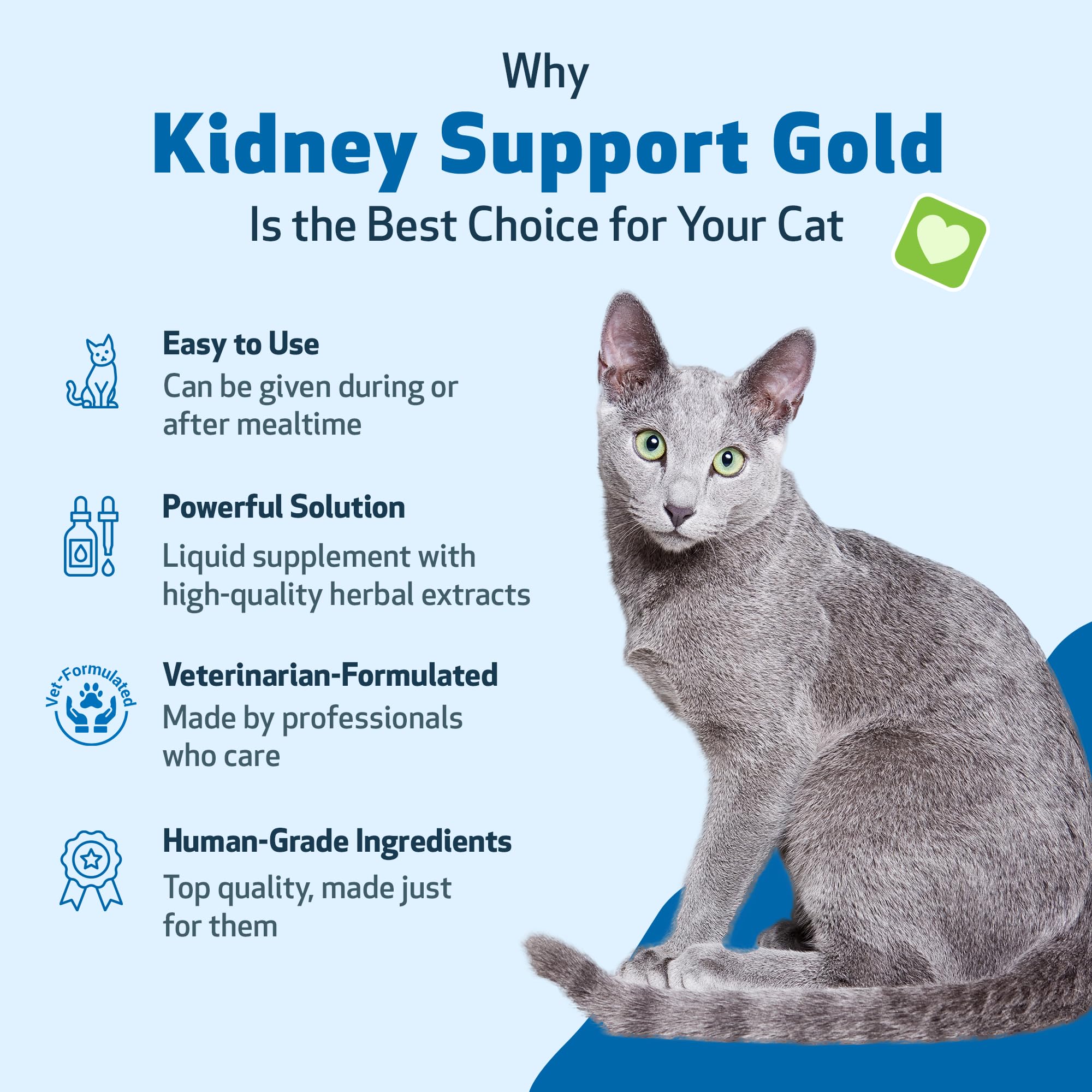 Pet Wellbeing Kidney Support Gold for Cats - Supports Healthy Kidney Function, Fluid Balance, Energy Levels, Rehmannia, Dong Qua