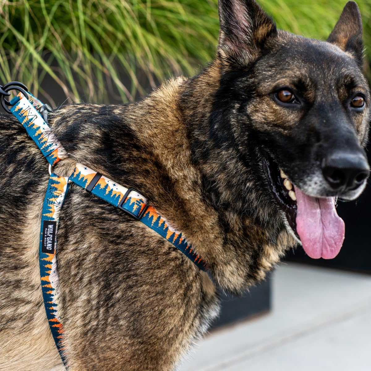 Wolfgang Heavy Duty Adjustable Dog Harness, Pull-Tested To Over 800 Lbs For Walking & Training, Overland Print, Large