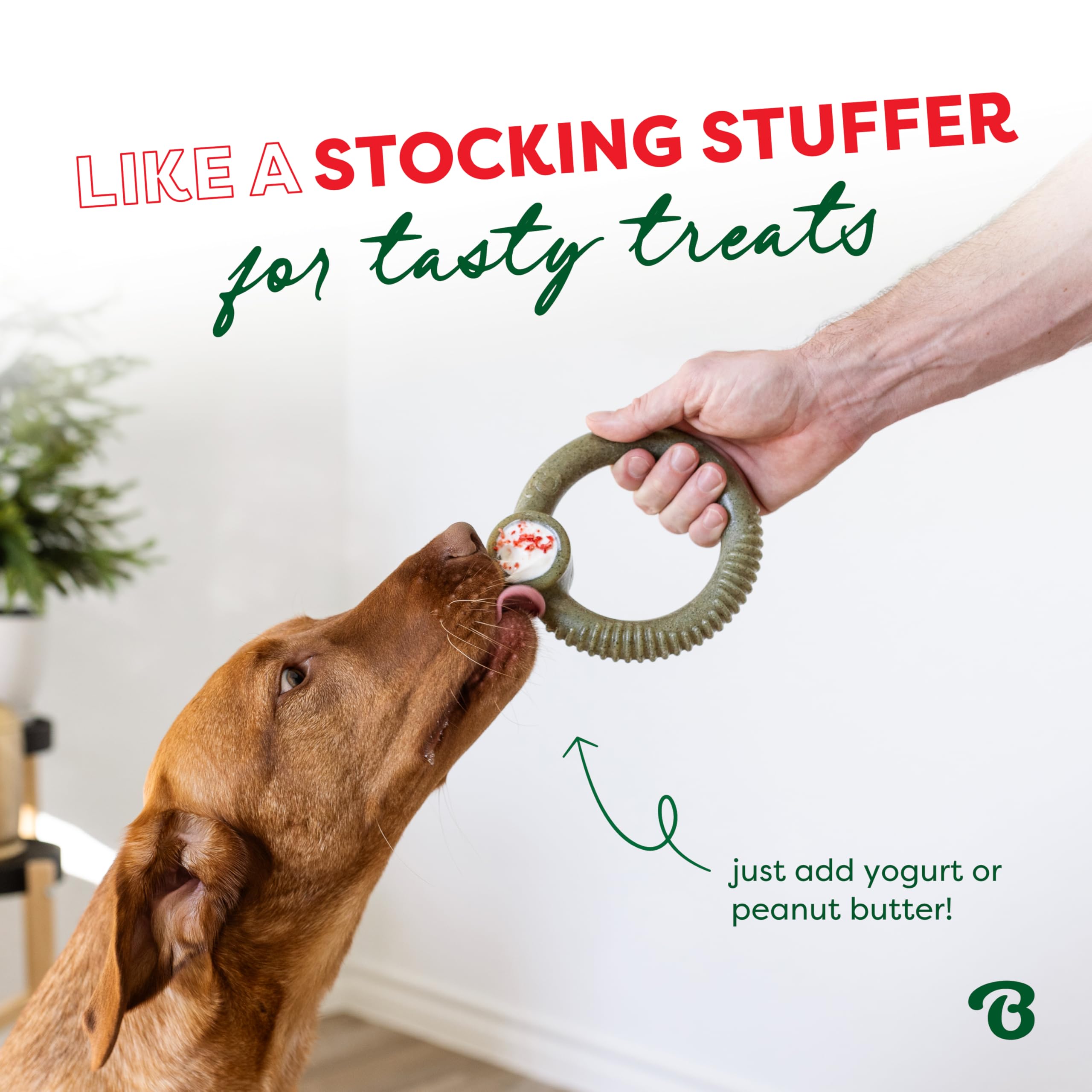 Benebone Peppermint Ring - Limited Edition Holiday Flavor, Durable Chew Toy for Aggressive Chewers, Made in USA, Large