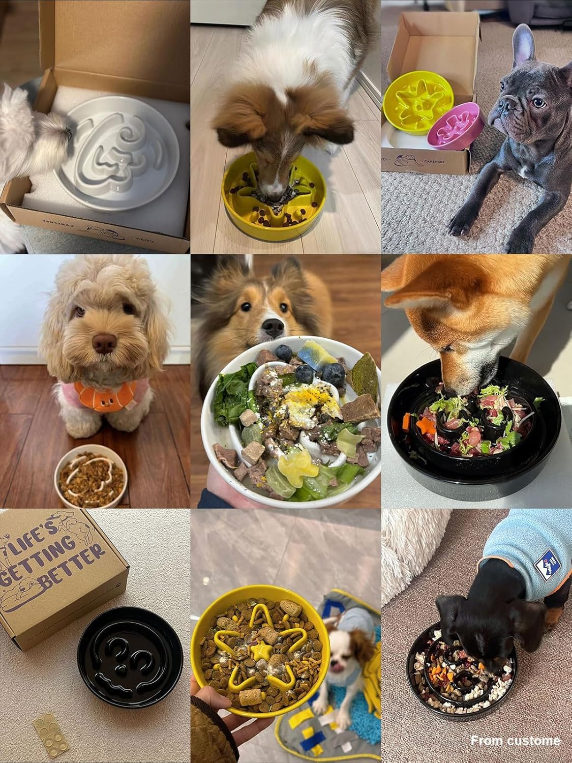 Le Tauci Ceramic Slow Feeder Dog Bowls Elevated, 0.6 Cups Raised Dog Bowl With Wooden Stand For Small Breed, Dog Dishes To Slow