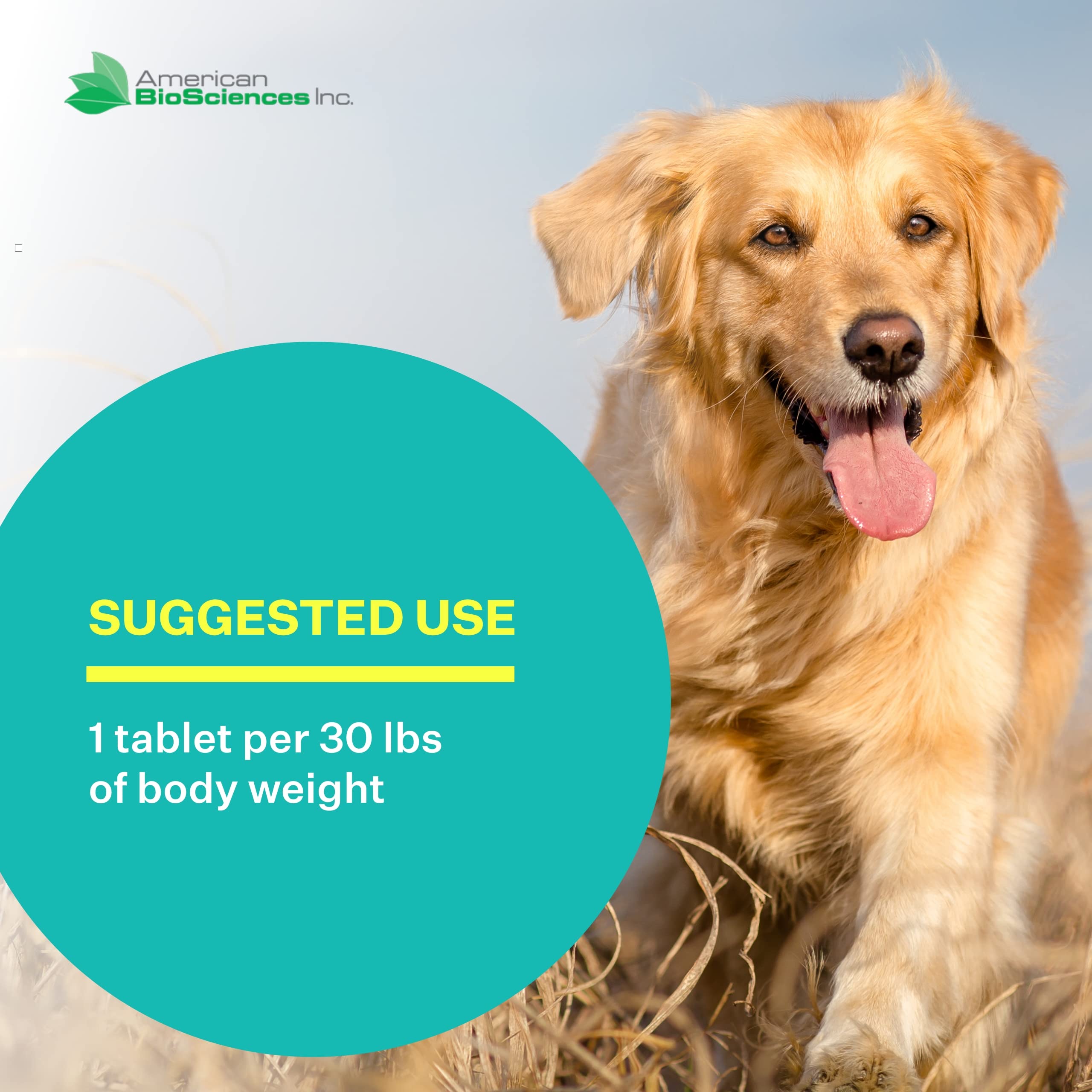 American BioSciences DGP 2-Pack, Joint Supplement for Dogs - Joint Support with Turmeric, Boswellia Extract & More - Quick Effec