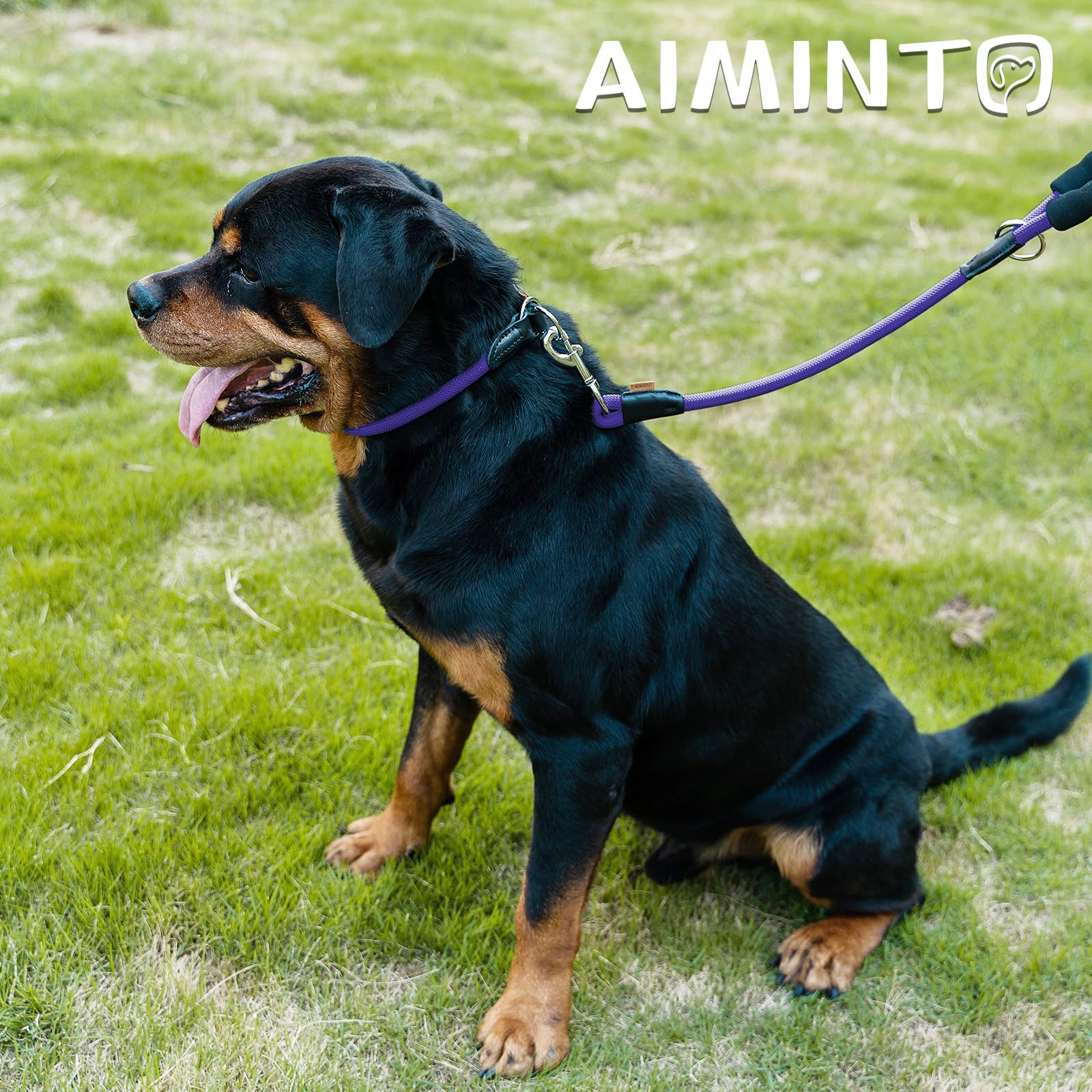Aiminto Dog Leash, Braided Rope Traction - Walking Training Lead for Small Dogs ((1/3 '') x 6FT, Purple)