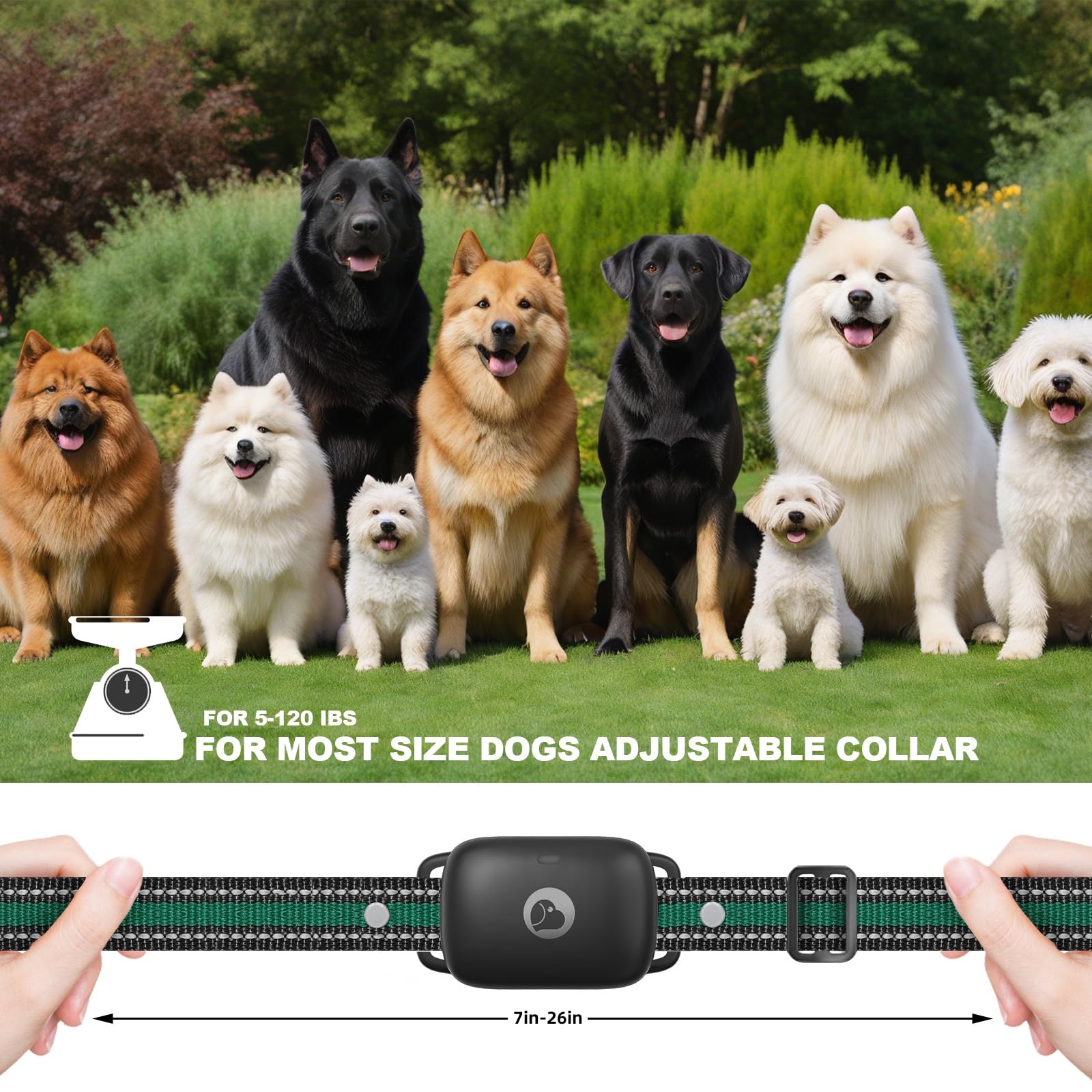 Dog Shock Collar, Dog Training Collar With Remote For Small Medium Large Dogs, Electronic Dog Collar Rechargeable With Shock Mod