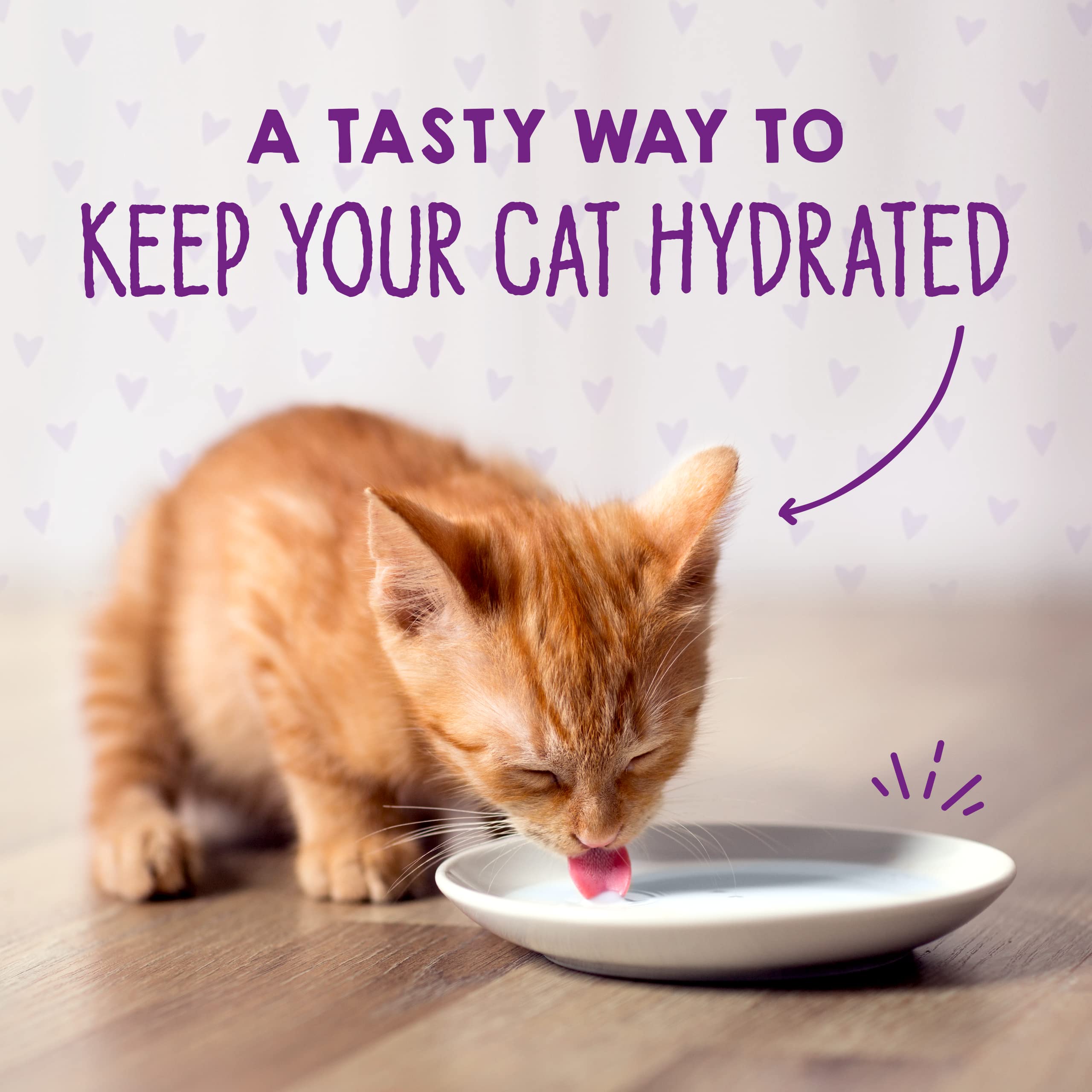 Stella & Chewys Carnivore Cravings Purrfect Pat   - Premium Grain-Free Wet Kitten Food - Chicken & Salmon Recipe - High Protein