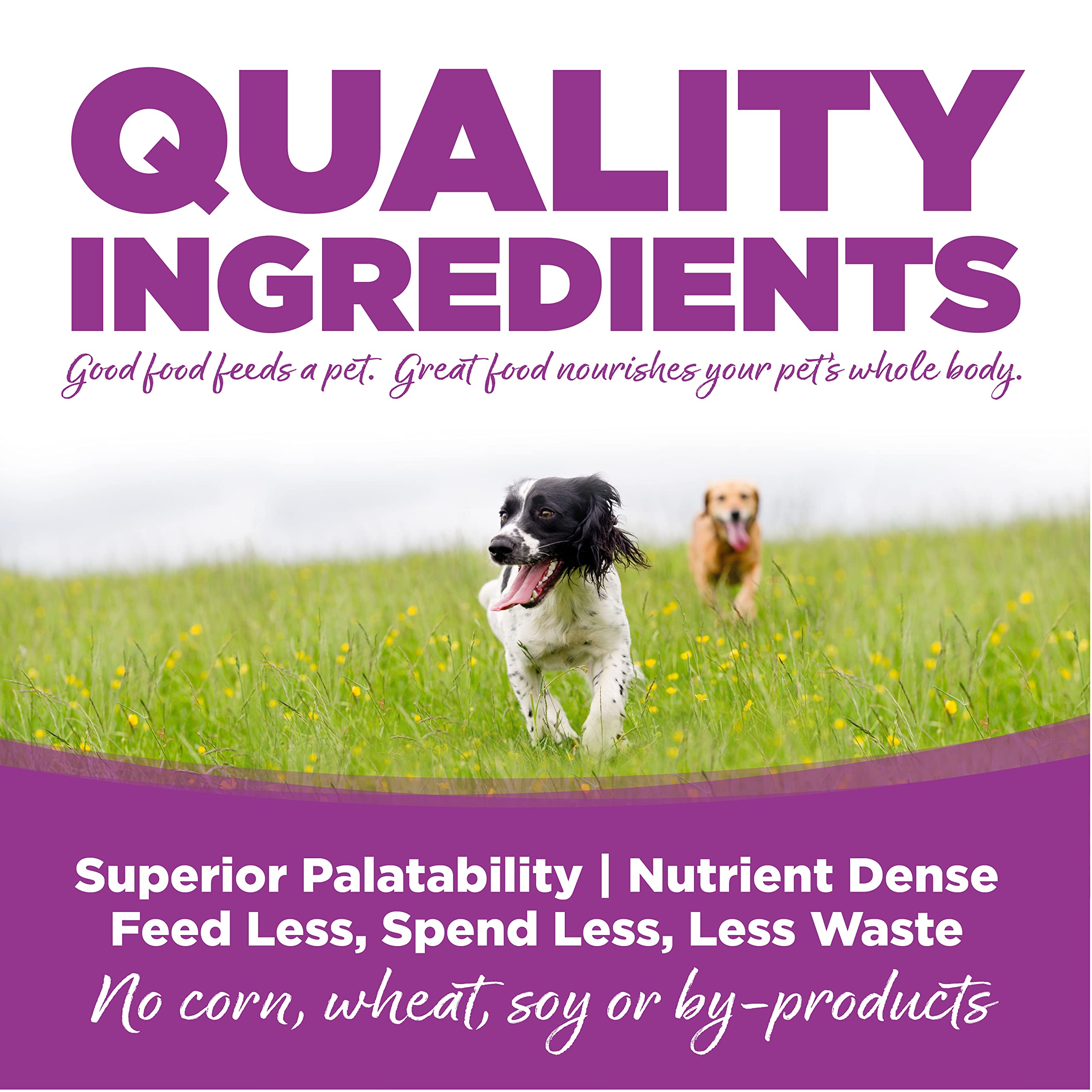 NutriSource Puppy Food, Made with Chicken and Rice, Large Breed, with Wholesome Grains, 30LB, Dry Dog Food