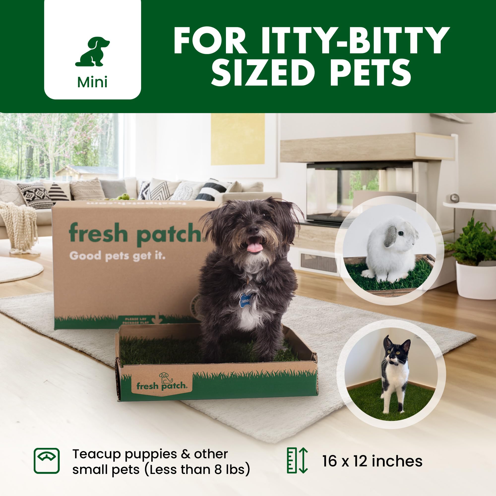 Fresh Patch Mini Real Grass Pee Pad for Dogs up to 8 lbs - Indoor/Outdoor Use, 16x12, Green - Potty Training Solution