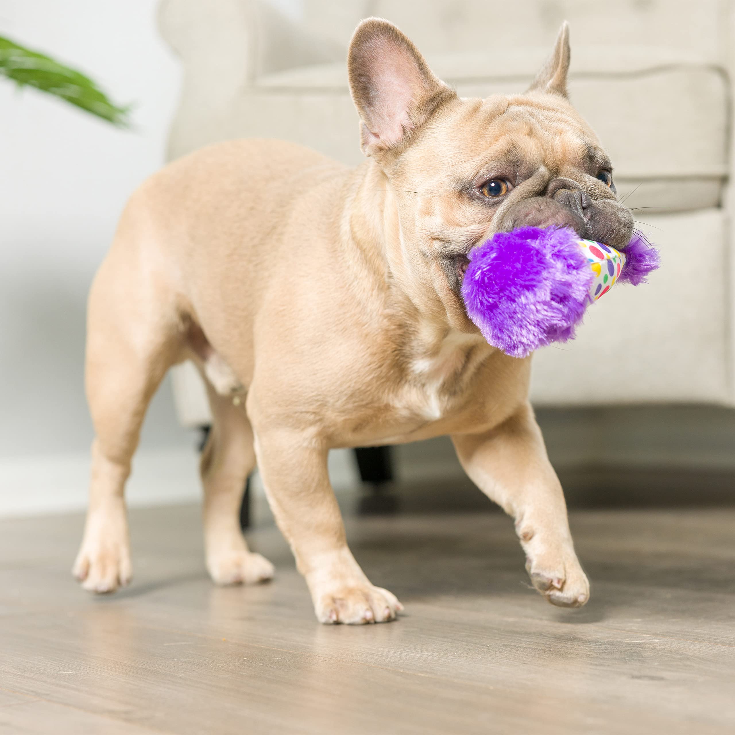 Huxley & Kent Tiny Tuff | It'S My Barkday | Extra Tough Dog Toy For Small Dogs | 2-Pack Funny Dog Toy | Features Squeaker, Crink