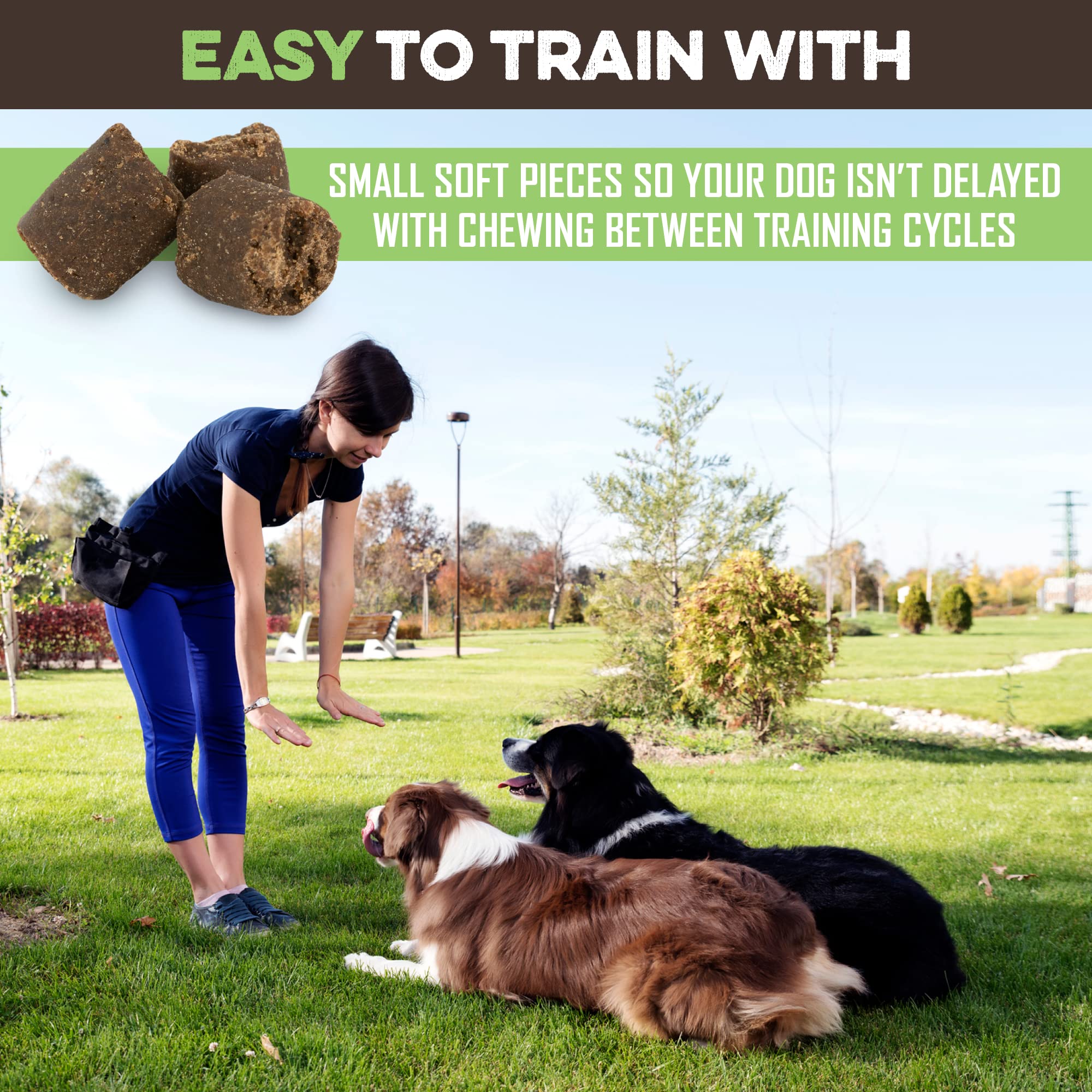 BRUTUS & BARNABY Training Treats for Dogs - Peanut Butter & Apple - All-Natural Healthy Low Calorie Vegan Treat - Great to Use f