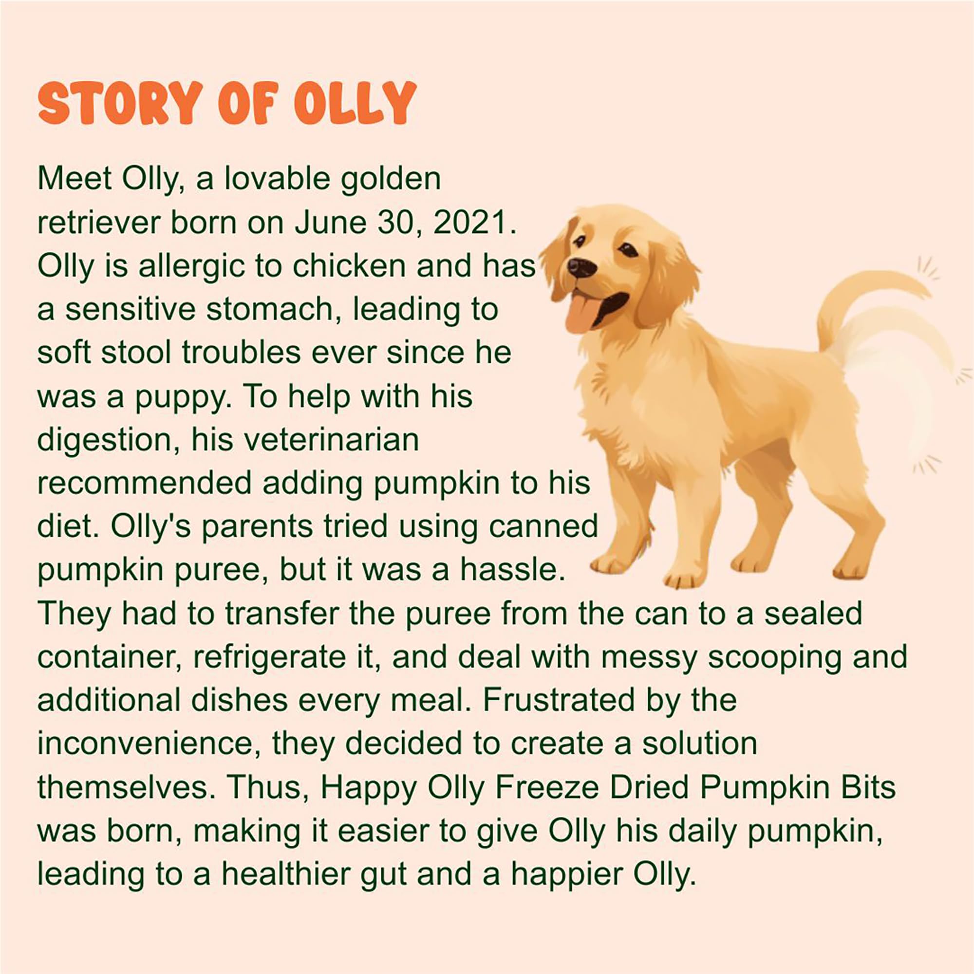 Happy Olly Pumpkin Treats for Dogs - 2oz Freeze-Dried Pure Pumpkin, Natural Prebiotics & Fiber, Supports Digestion & Reduces Diarrhea