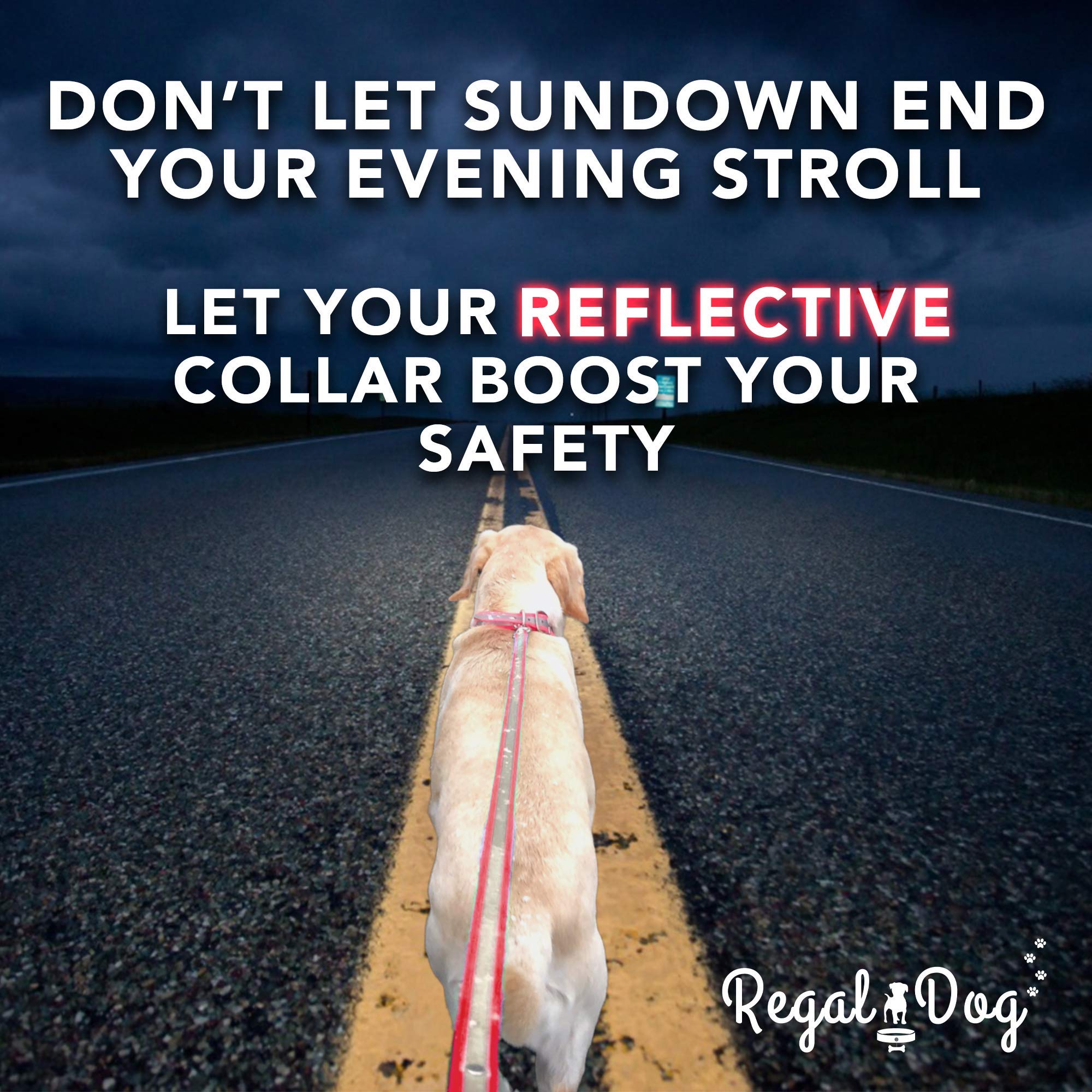 Regal Dog Products Small Pink Heavy Duty Reflective Dog Collar With Durable Metal Buckle And D Ring Adjustable, Chew Proof & Wat