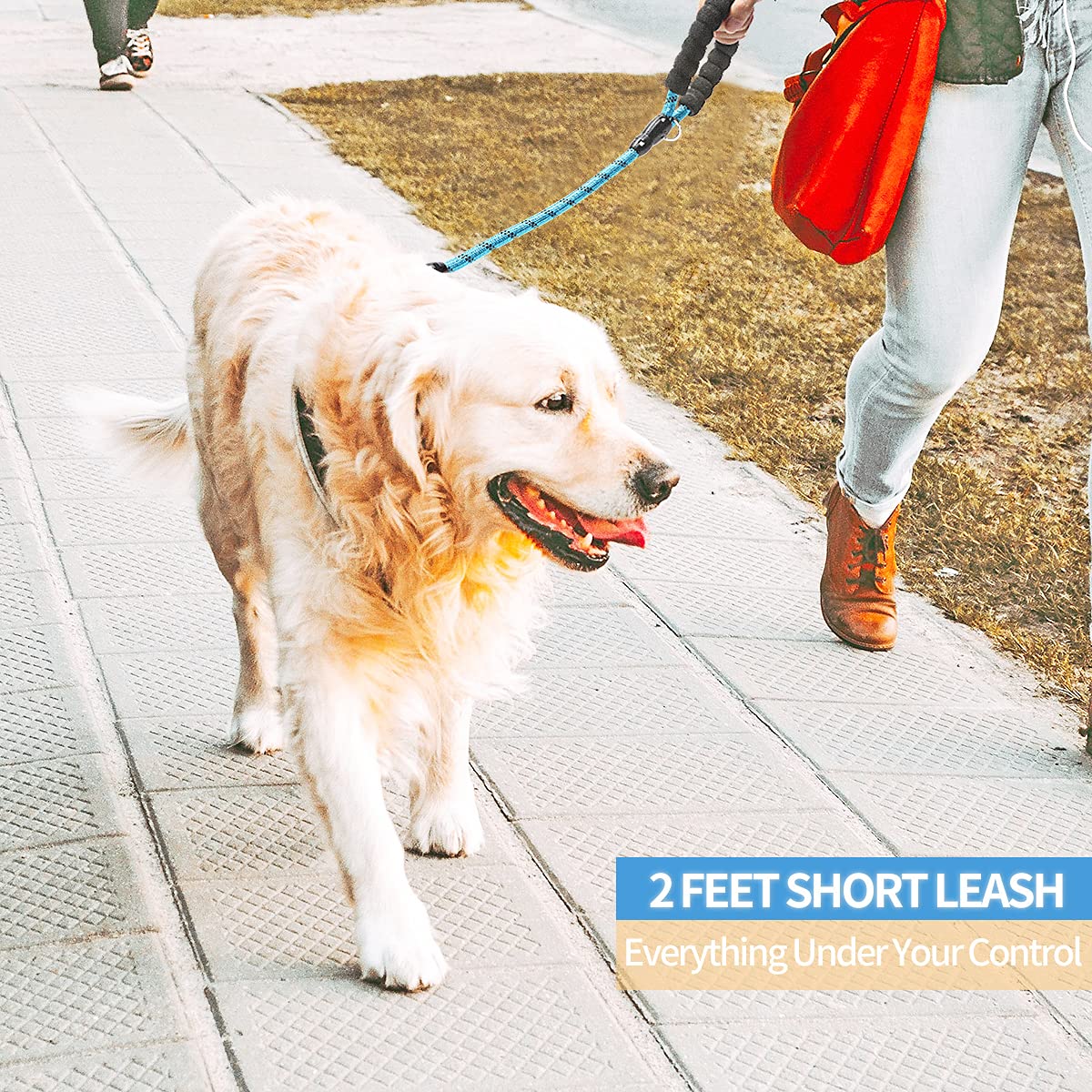 BAAPET Dog Leash with Padded Handle, 2FT, Nylon, Blue, for Small to Large Dogs