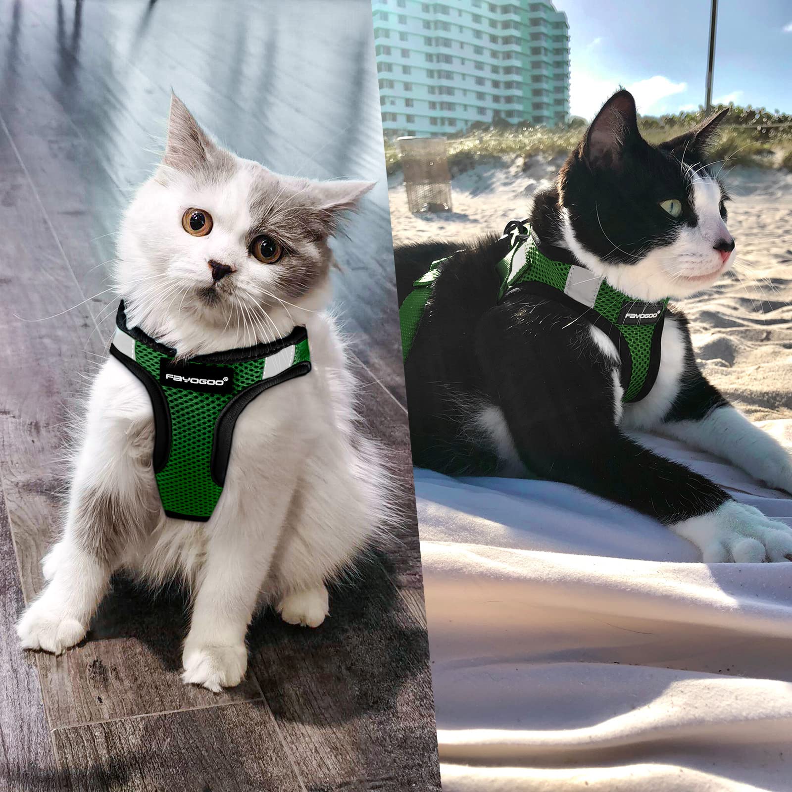 FAYOGOO Cat Harness, Cat Leash and Harness Set for Walking Escape Proof, Harness for Small Cats/Small Dogs, Large Kitten/Puppy Harness and Leash, Harness for Cats S-XXL(Neon Green, X-Large) -Like New