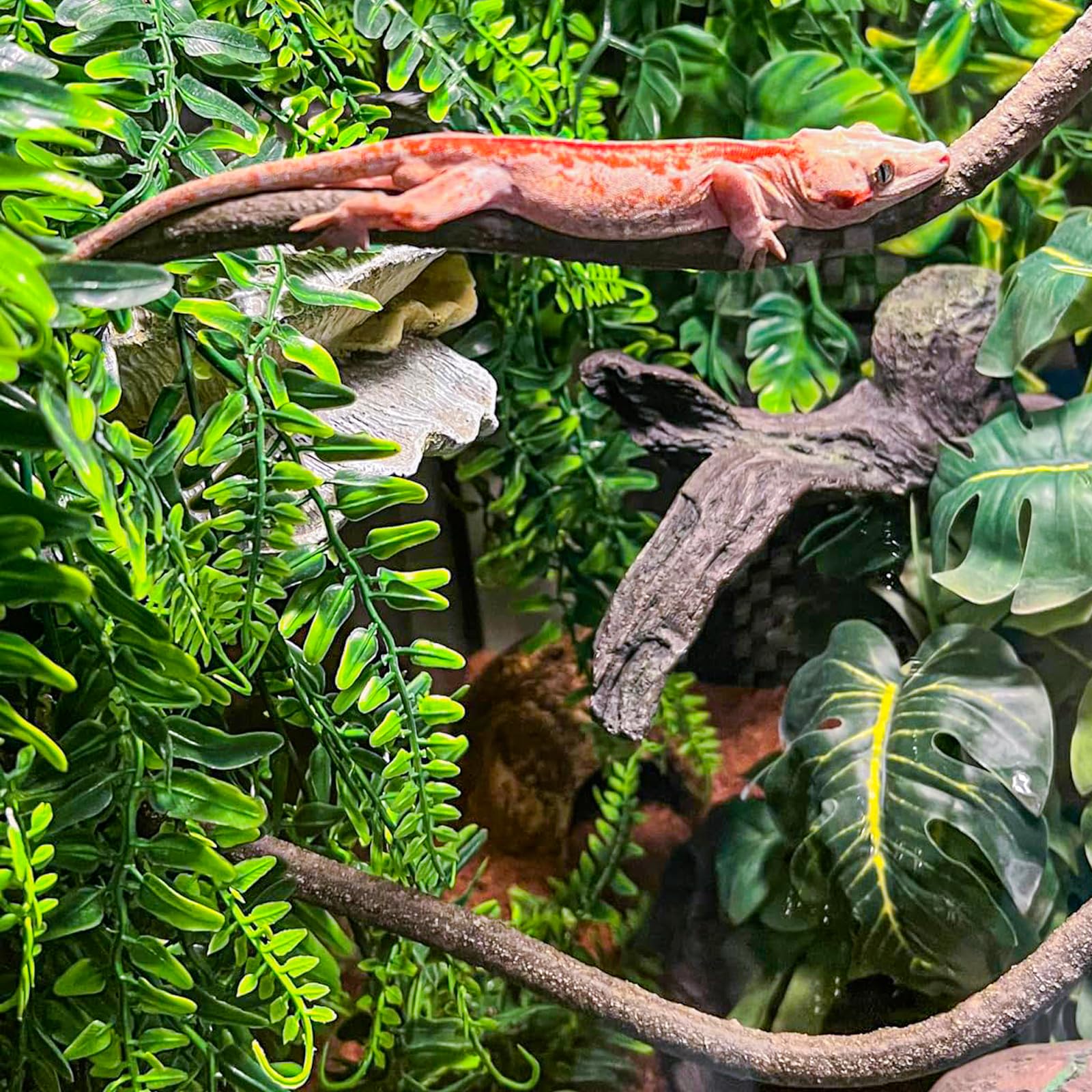 HERCOCCI Reptile Vines, Flexible Jungle Climbing Vines Terrarium Plastic Plants and Leaves Tank Accessories Decor for Gecko Snak