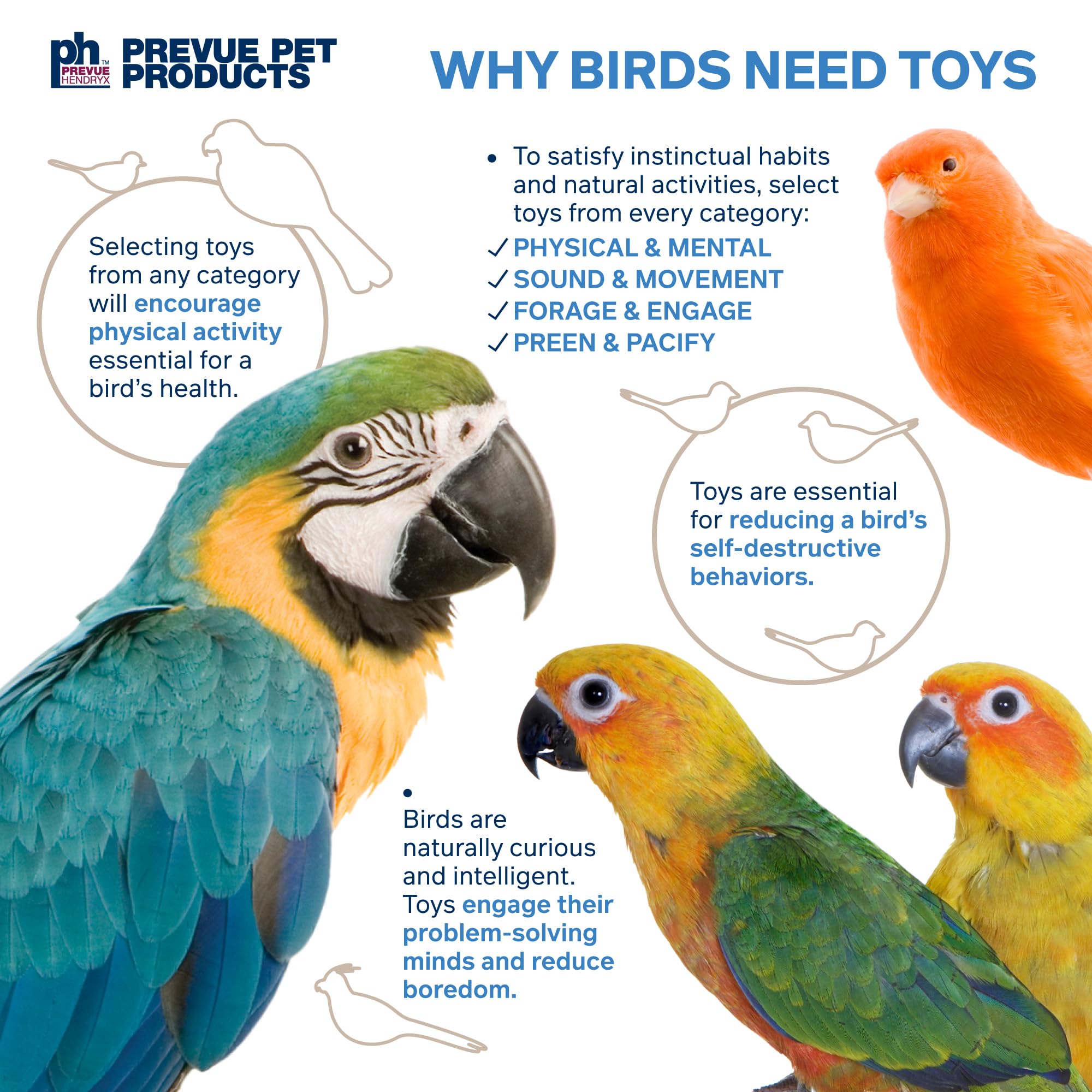 Prevue Pet Products Sink n Seek - Playfuls Forage & Engage Bird Toy 60250