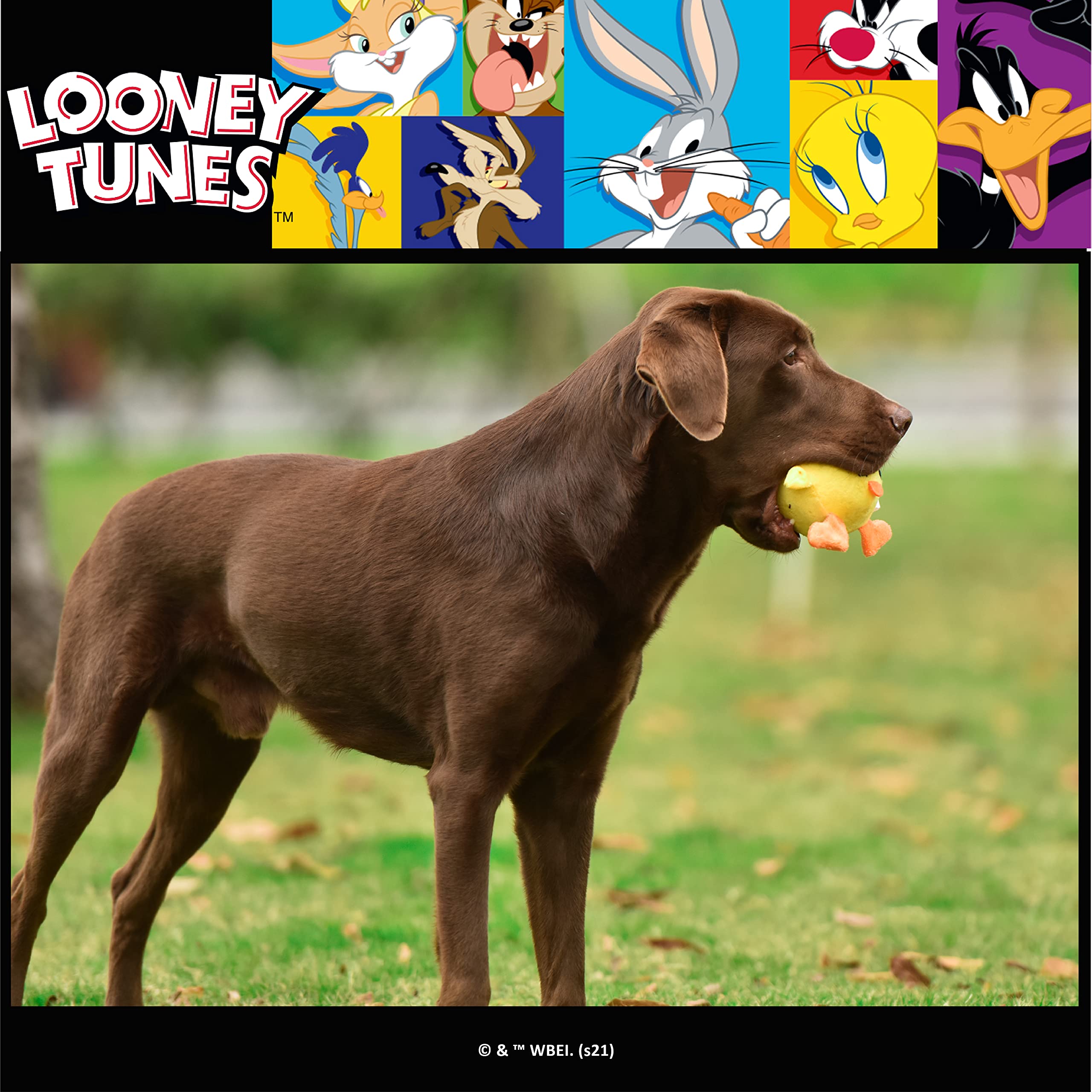 Looney Tunes For Pets Yellow Tweety Bird Ball Body Plush Dog Toy For All Dogs | Squeaky Toy For Dogs Chew Toy | Tweety Bird Character Soft Plush Stuffed Dog Toy