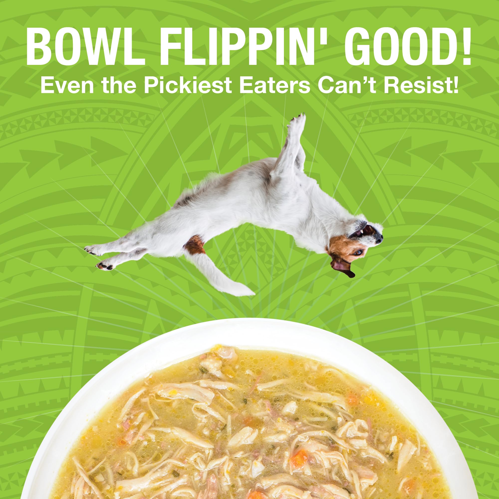 KOHA Pure Shreds Chicken and Duck Entr  e for Dogs, 12.5oz Cans (Pack of 12)