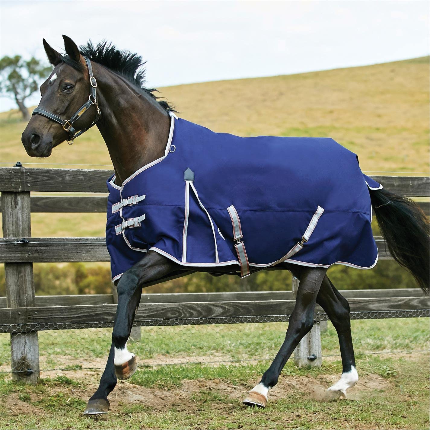 WeatherBeeta ComFiTec Essential Standard Neck Lite Horse Blanket, Navy/Silver/Red, 69