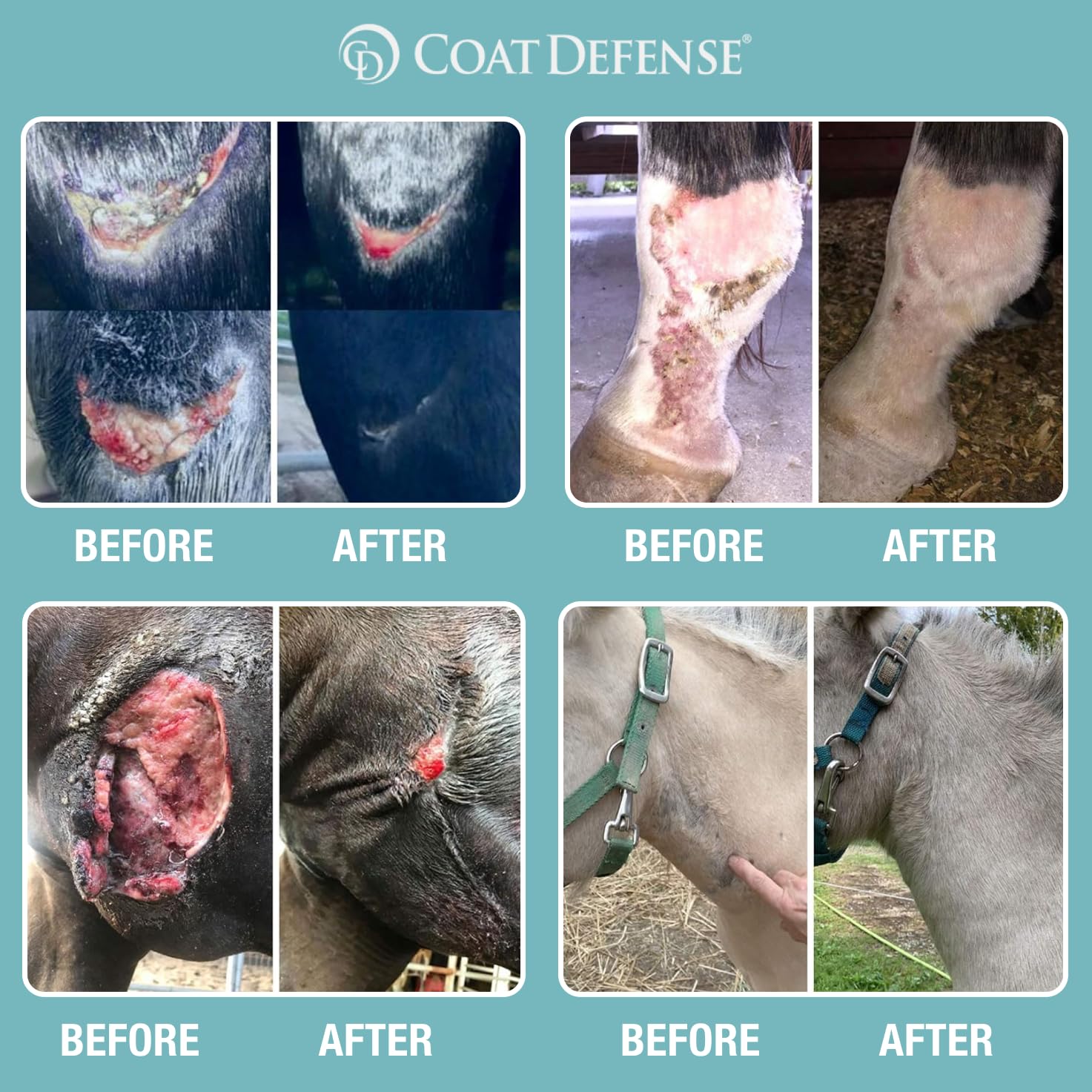 Coat Defense Trouble Spot Drying Paste For Horses - Natural Equine Wound Care That Provides Safe & Effective Relief From Scratches, Sweet Itch, Summer Sores, Proud Flesh, Mud Fever, Girth Rot (10 Oz)