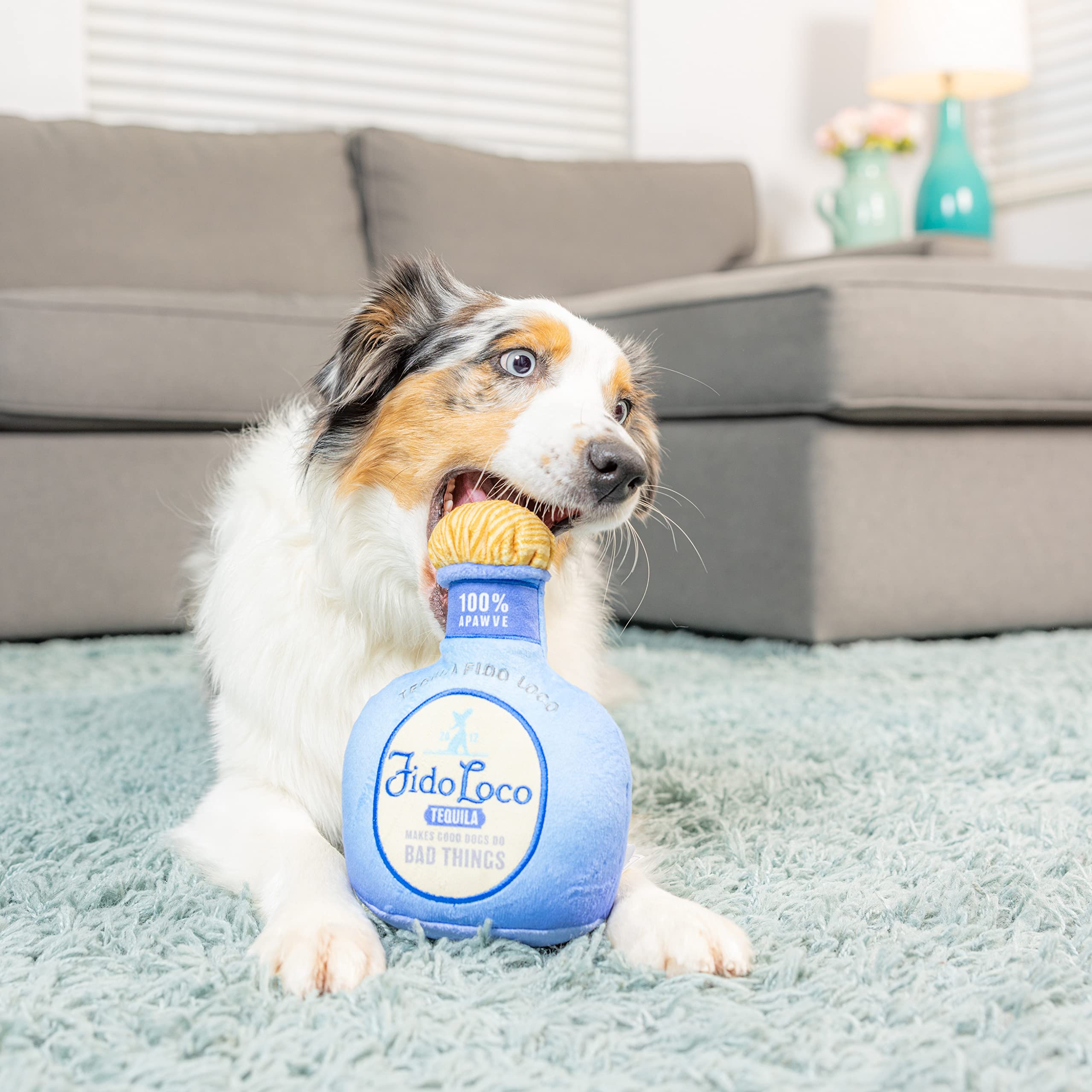 Huxley & Kent for Dogs | Fido Loco Tequila (Small) | Power Plush Dog Toy with Squeaker | Funny Dog Gift | Fun, Durable, and Safe