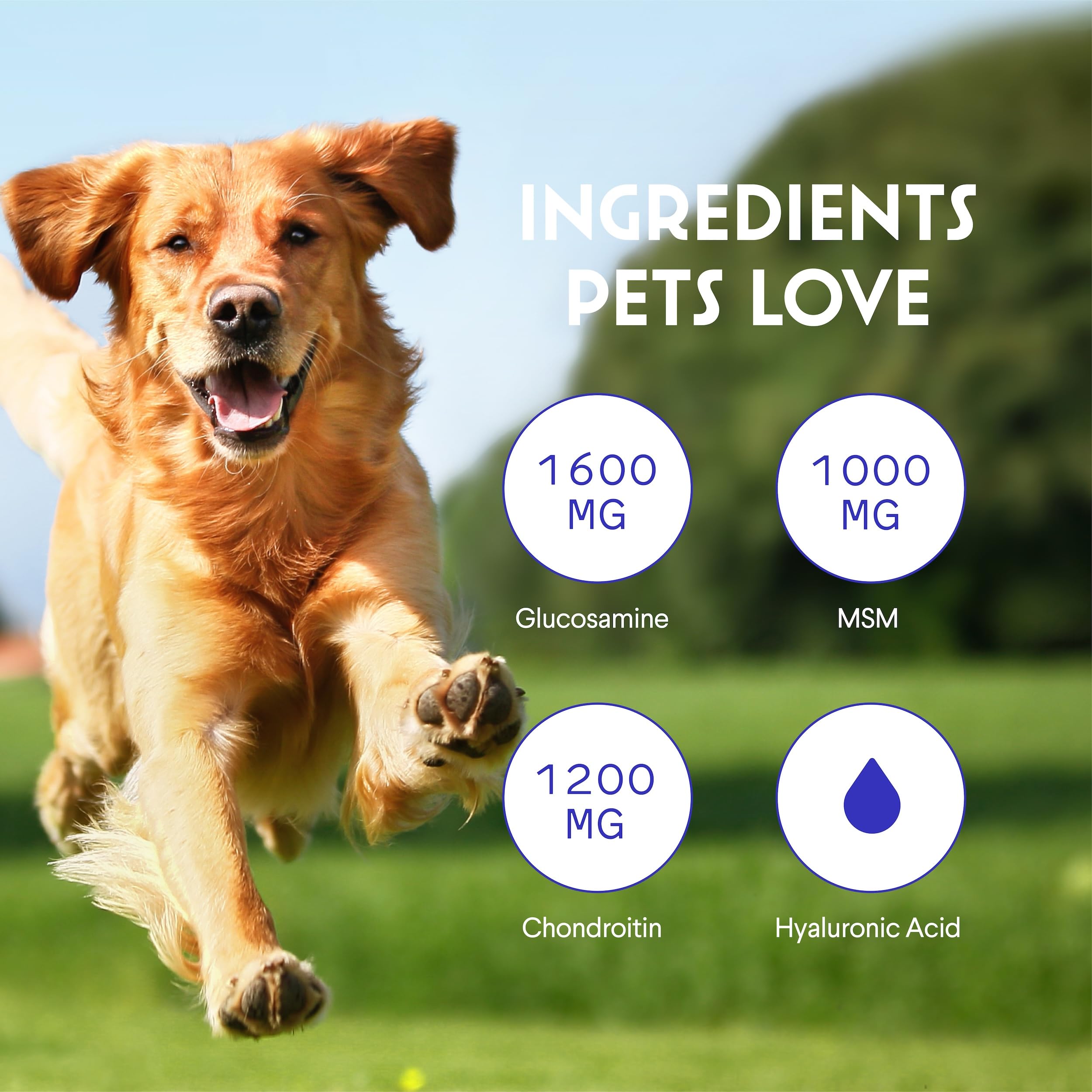 WONDER PAWS Premium Liquid Glucosamine for Dogs Strength Joint Support, Flexibility, Cartilage & Mobility - Hip and Joint Supple