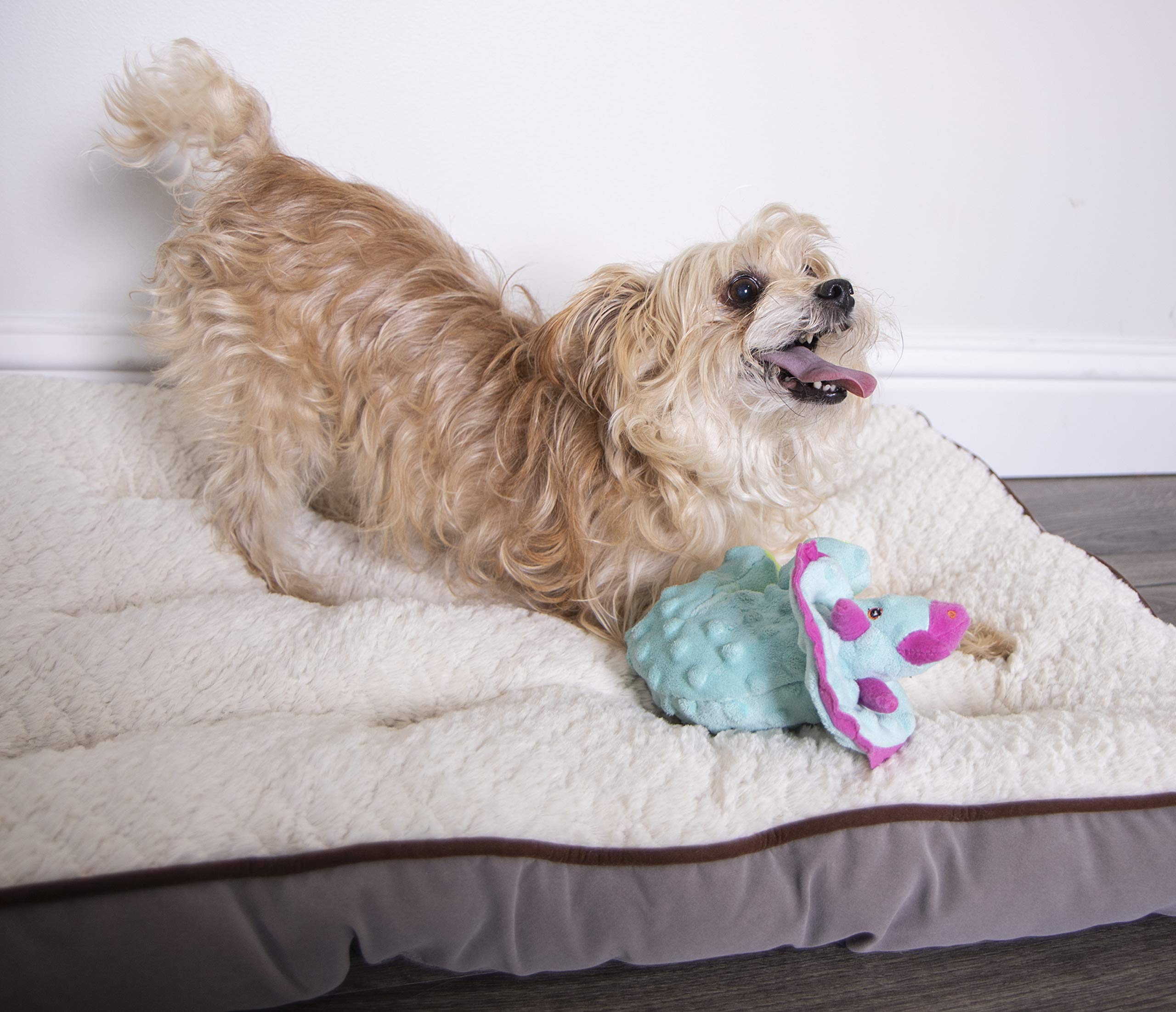 Godog Dinos Frills Plush Squeaker Chew Guard Dog Toy, Small, Teal