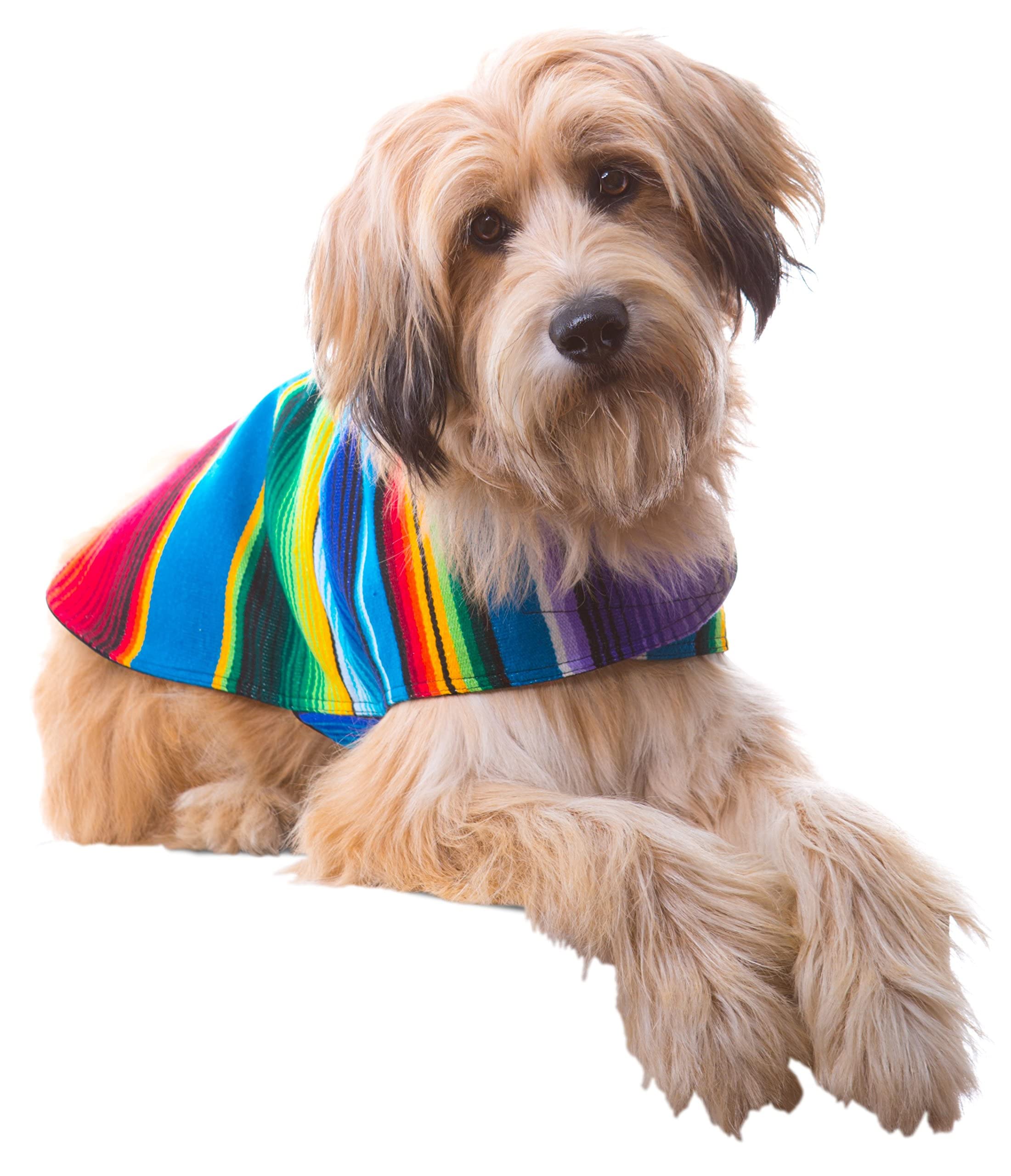 Dog Clothes - Handmade Dog Poncho from Authentic Mexican Blanket (Blue, XXS)