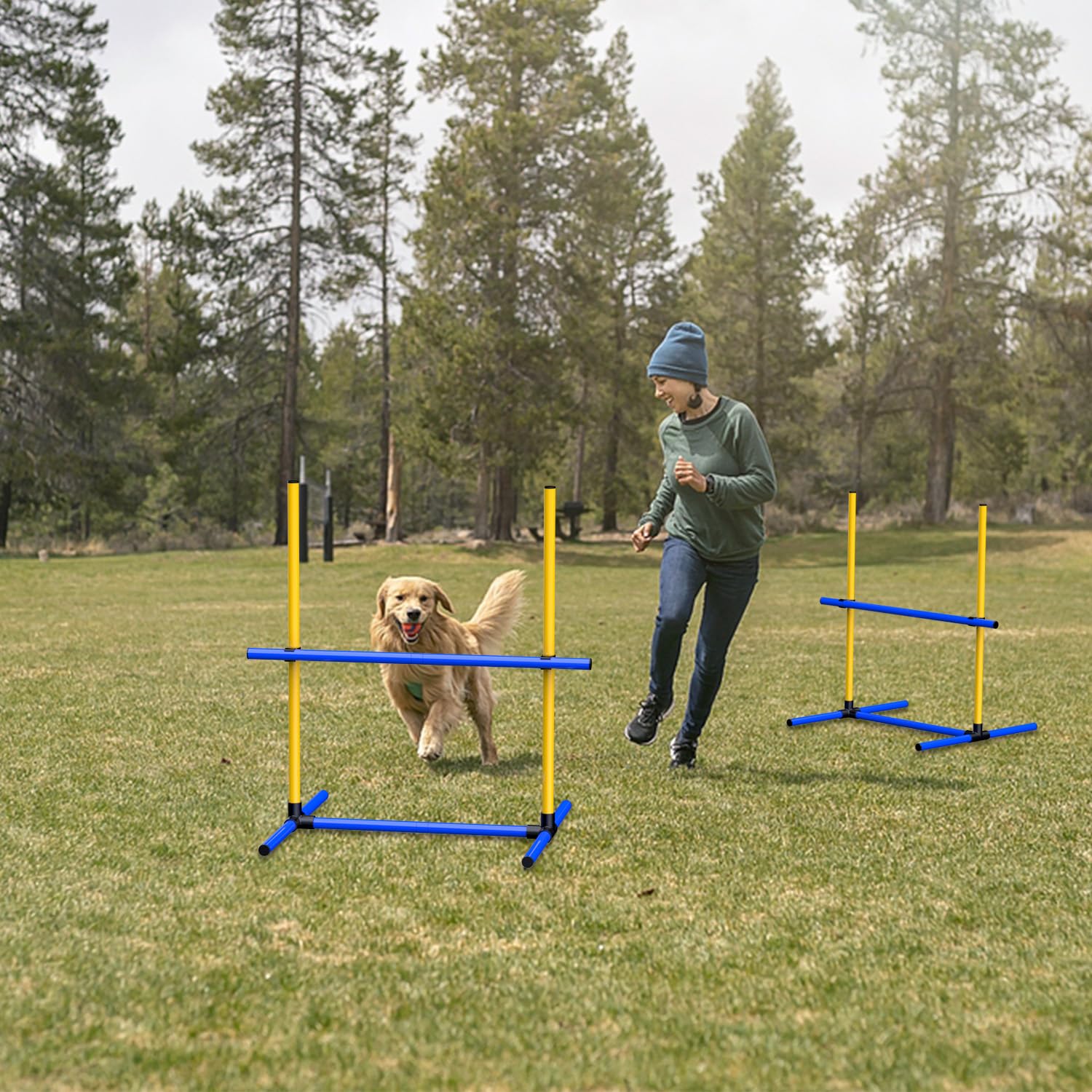 Ahailuoo Adjustable Dog Agility Jump Set - Training Hurdles With Height Adjustable Bars, Portable Design With Carry Bag For Indo