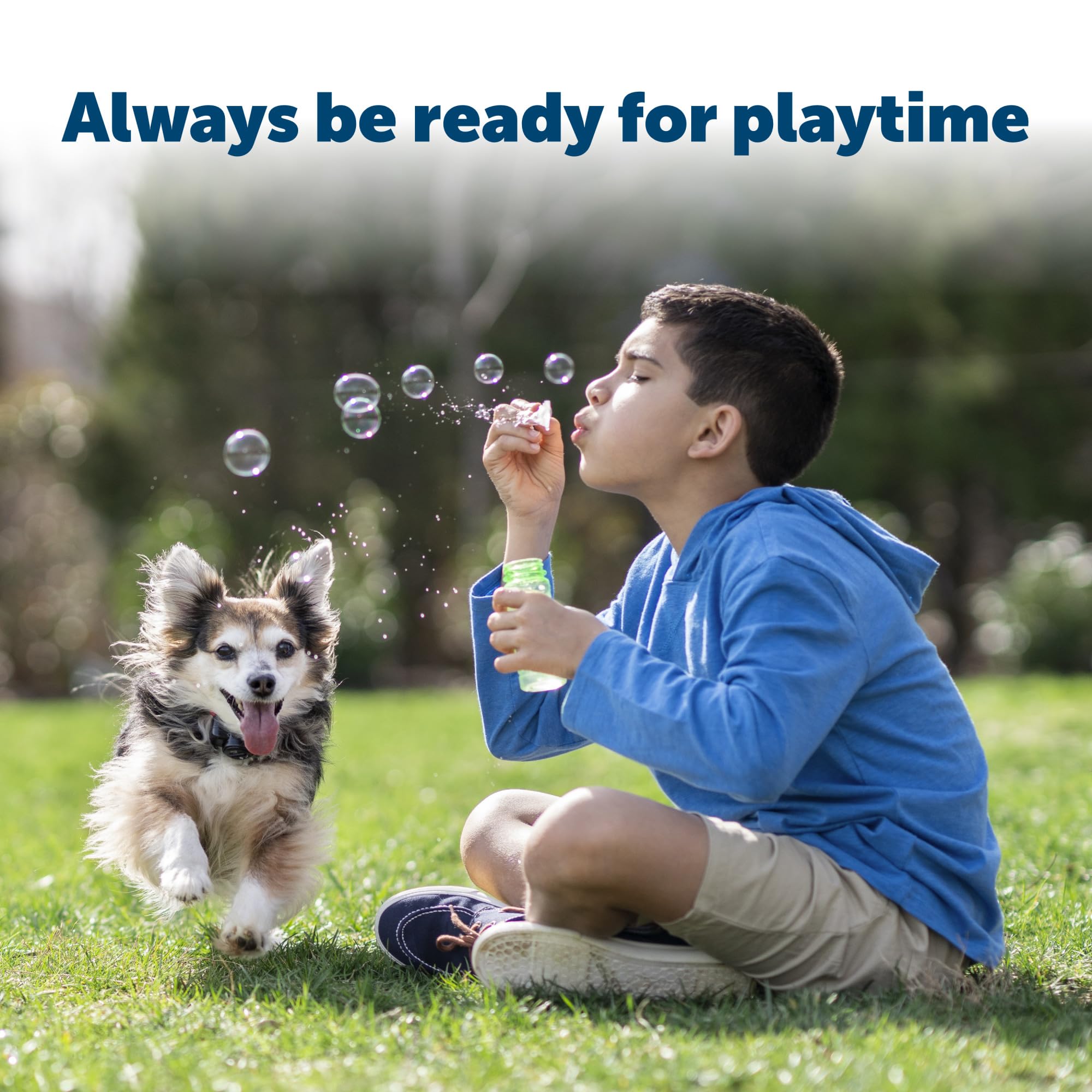 Petsafe Rfa-67 6 Volt Replacement Batteries - Compatible With Petsafe 6V Lithium Battery-Operated Pet Products And Specific Dog