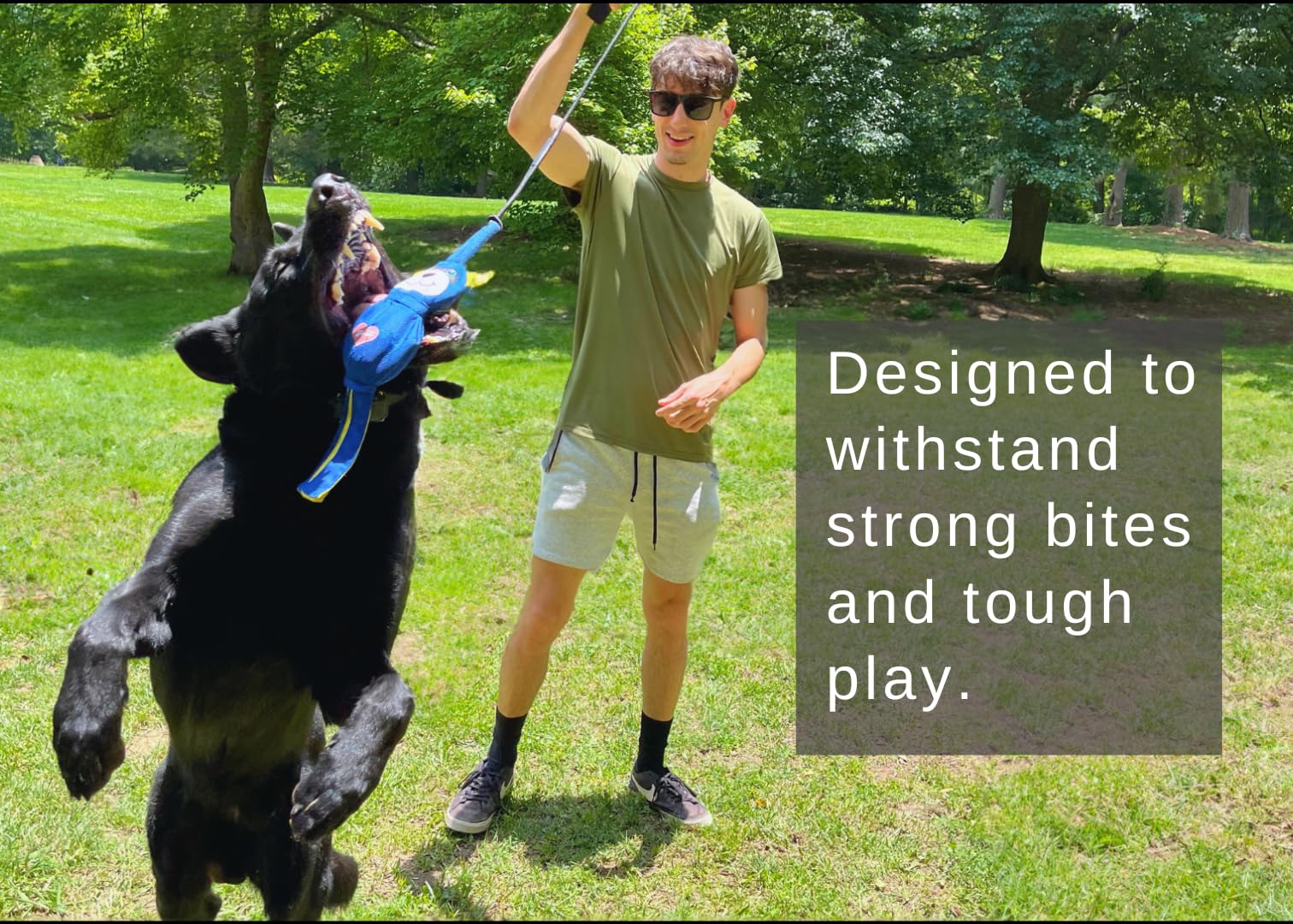 LUCOLOVE Flirt Pole for Dogs Heavy Duty - Multi-Sensory Tough Chase Toy for Medium & Large Breeds - Extra Strong 39 Dog Teaser W
