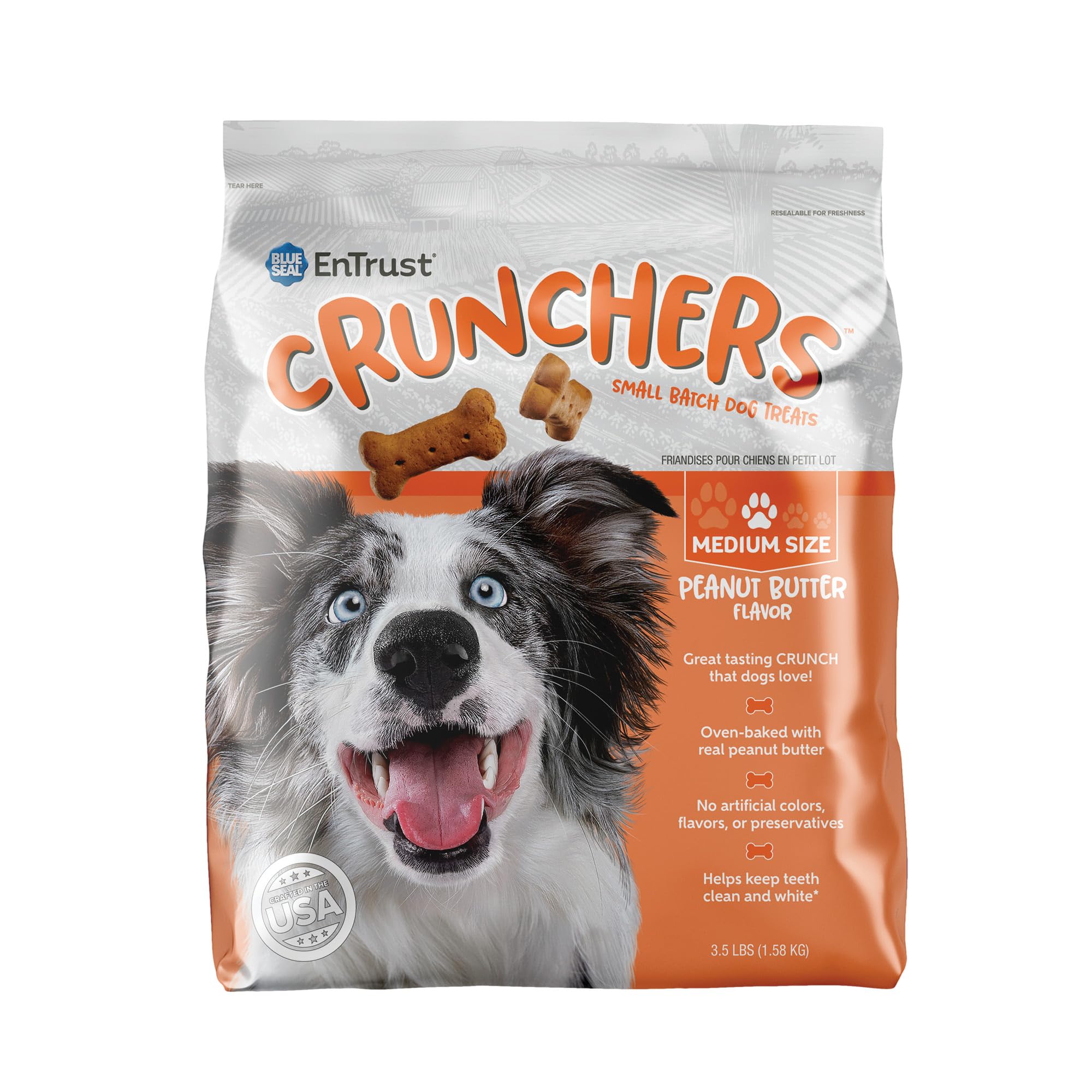Blue Seal Kent Entrust Crunchers - Medium Dog Treats, Peanut Butter Flavor - Crunchy Oven Baked Biscuits with Premium Ingredient