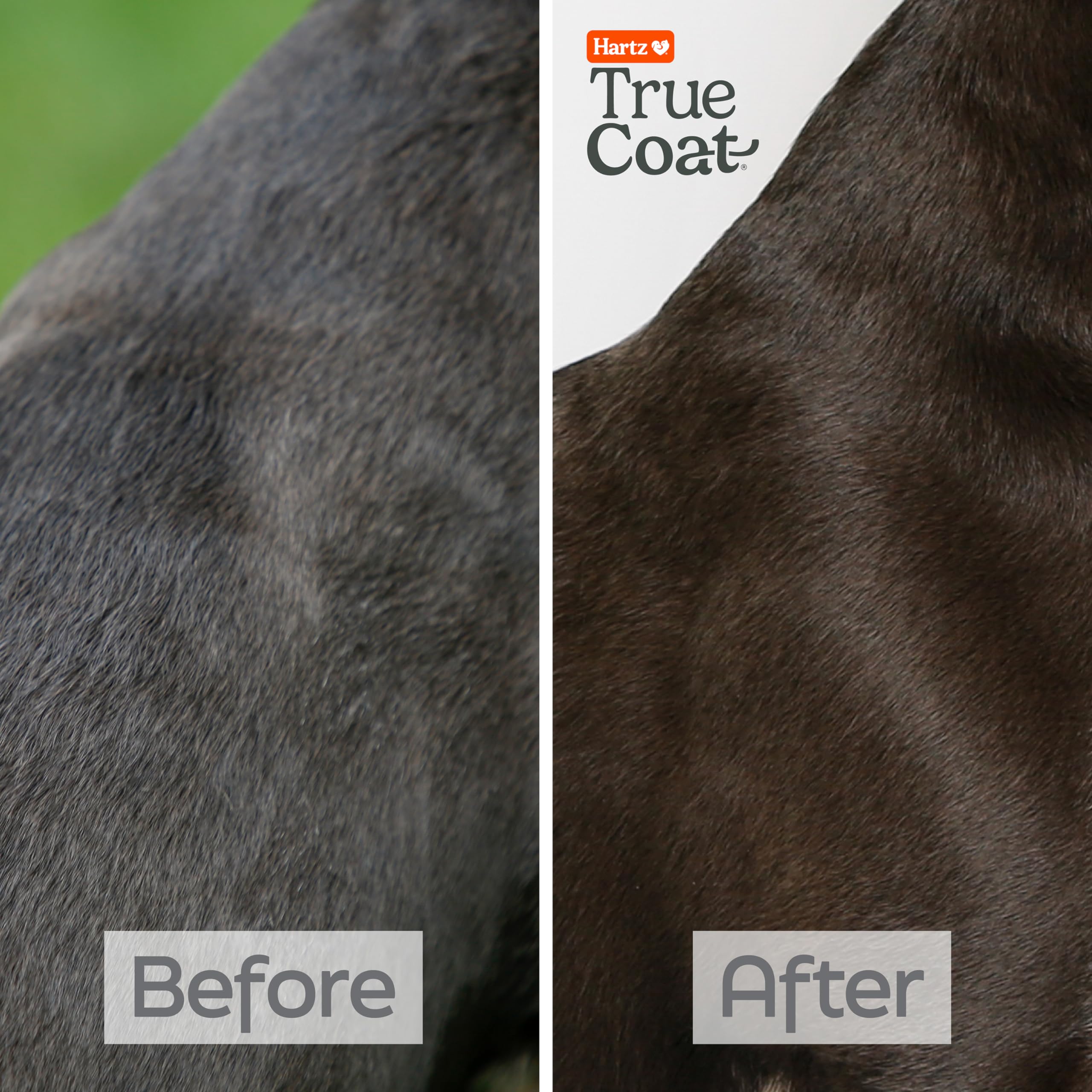New! Hartz True Coat Short & Smooth Coat Specific Dog Shampoo, Soothes & Shines With Oat Milk, Coconut Oil & Vitamin E