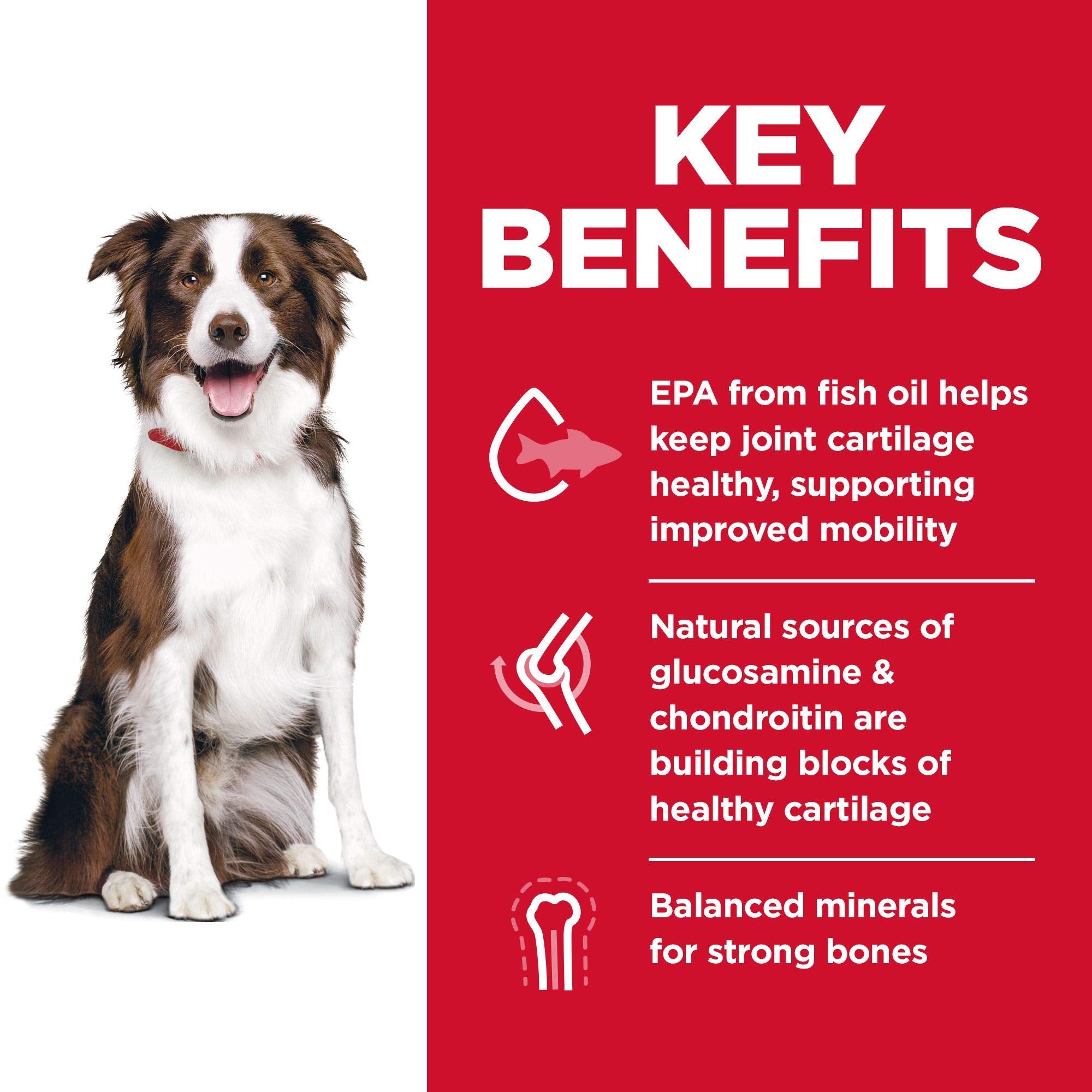 Hills Science Diet Healthy Mobility Large Breed Adult Dry Dog Food 1-5, Quality Protein for Mobility & Joint Support, Chicken,