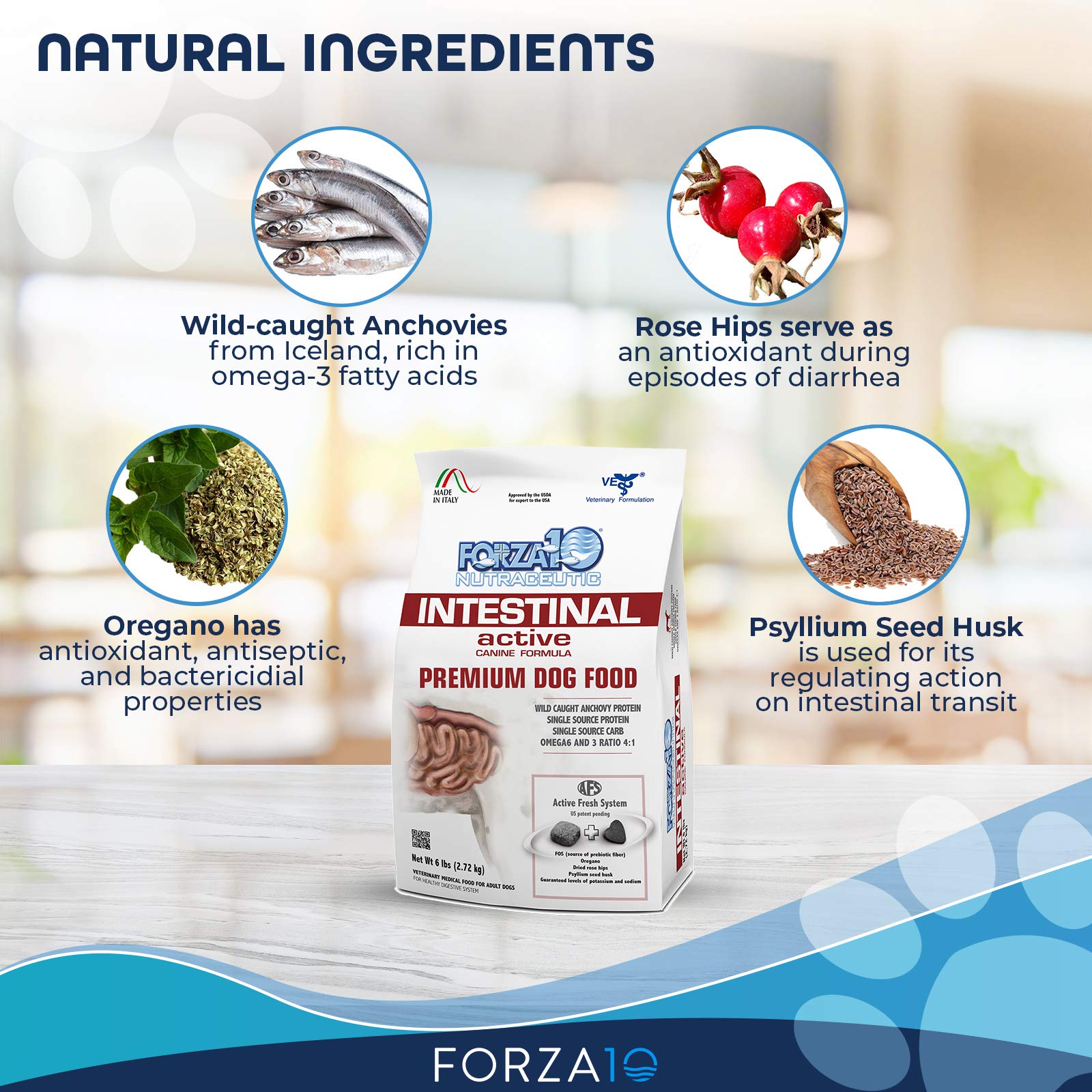 Forza10 Active Dry Intestinal Dog Food, Gastrointestinal Dog Food, Digestive and Intestinal Diet Dry Dog Food for Adult and All