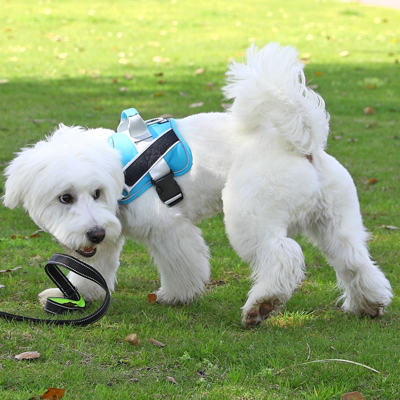 Bolux Dog Harness, No-Pull Reflective Dog Vest, Breathable Adjustable Pet Harness With Handle For Outdoor Walking - No More Pulling, Tugging Or Choking (Oceanicblue, Xx-Large (Pack Of 1))