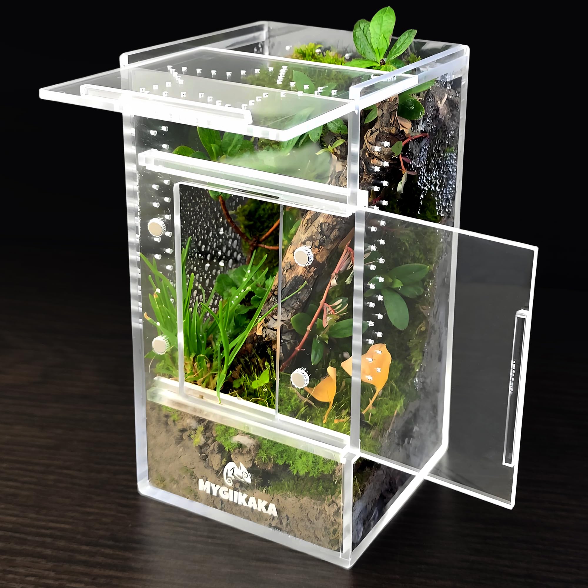 Mygiikaka Jumping Spider Enclosure Accessories, Tarantula Spider Box, Bug Cage, Praying Mantis Habitat Enclosure, Snail Insect T