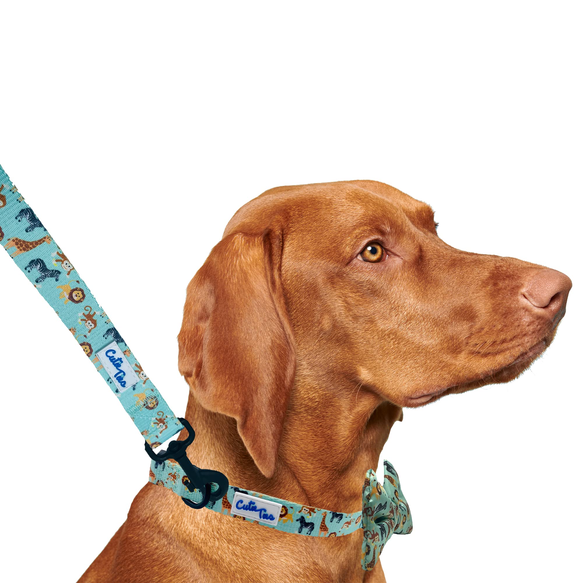 CUTIE TIES Dog Leash Zoo Animals– Durable Nylon Material - Premium Quality Leash for Dogs - Fancy Leashes - Cute Dog Leash in Two Sizes - (Zoo Animals, Large (1" x 6'))