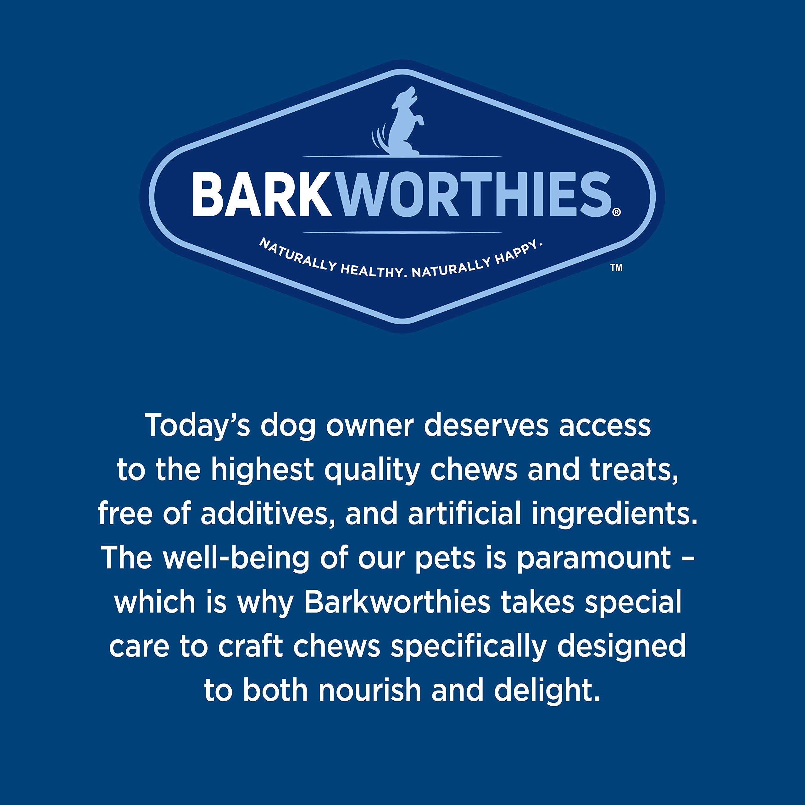 Barkworthies Bully Bites Dog Treats; 16Oz Bag