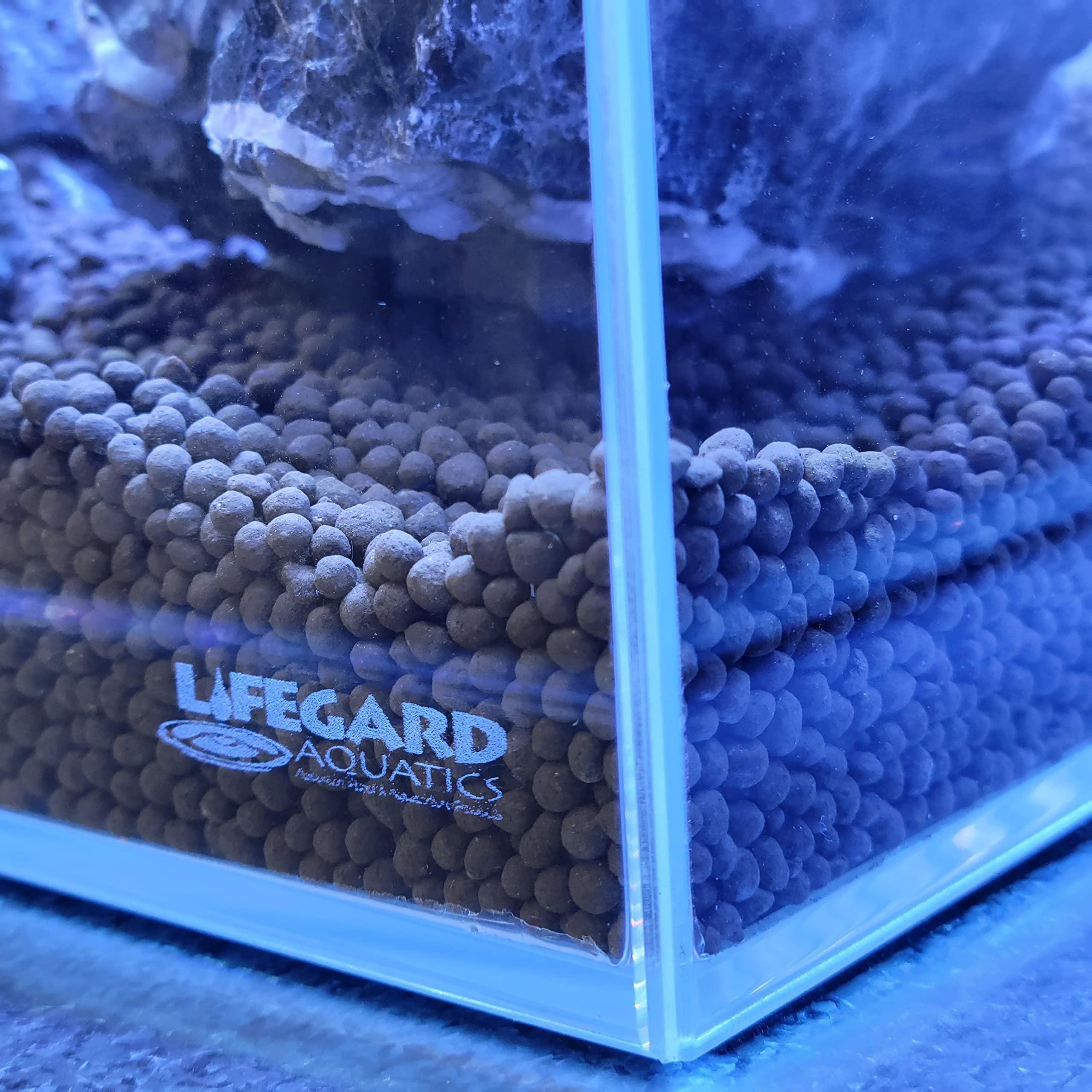 Lifegard Aquatics 10 Gallon Rimless Clear Glass Aquarium 5Mm (20.07''X9.84''X12.60'')
