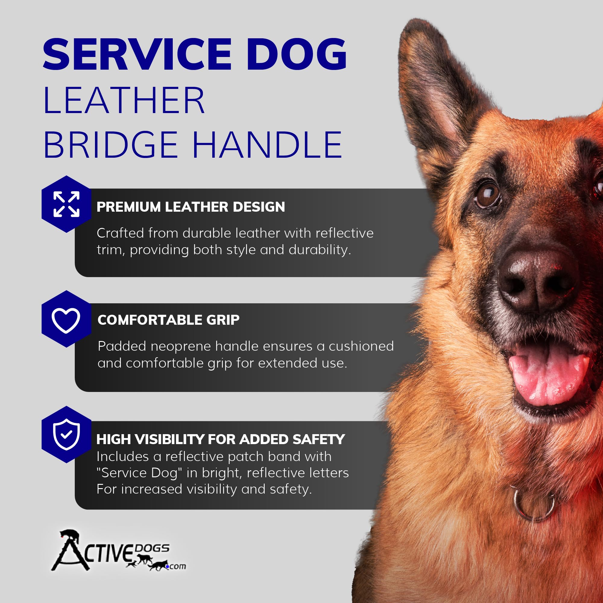 Activedogs Leather Bridge Handle For Service Dog 8'' - Solid Steel & Leather Service Dog Handle With Easy Snap-On Clips, Reflect