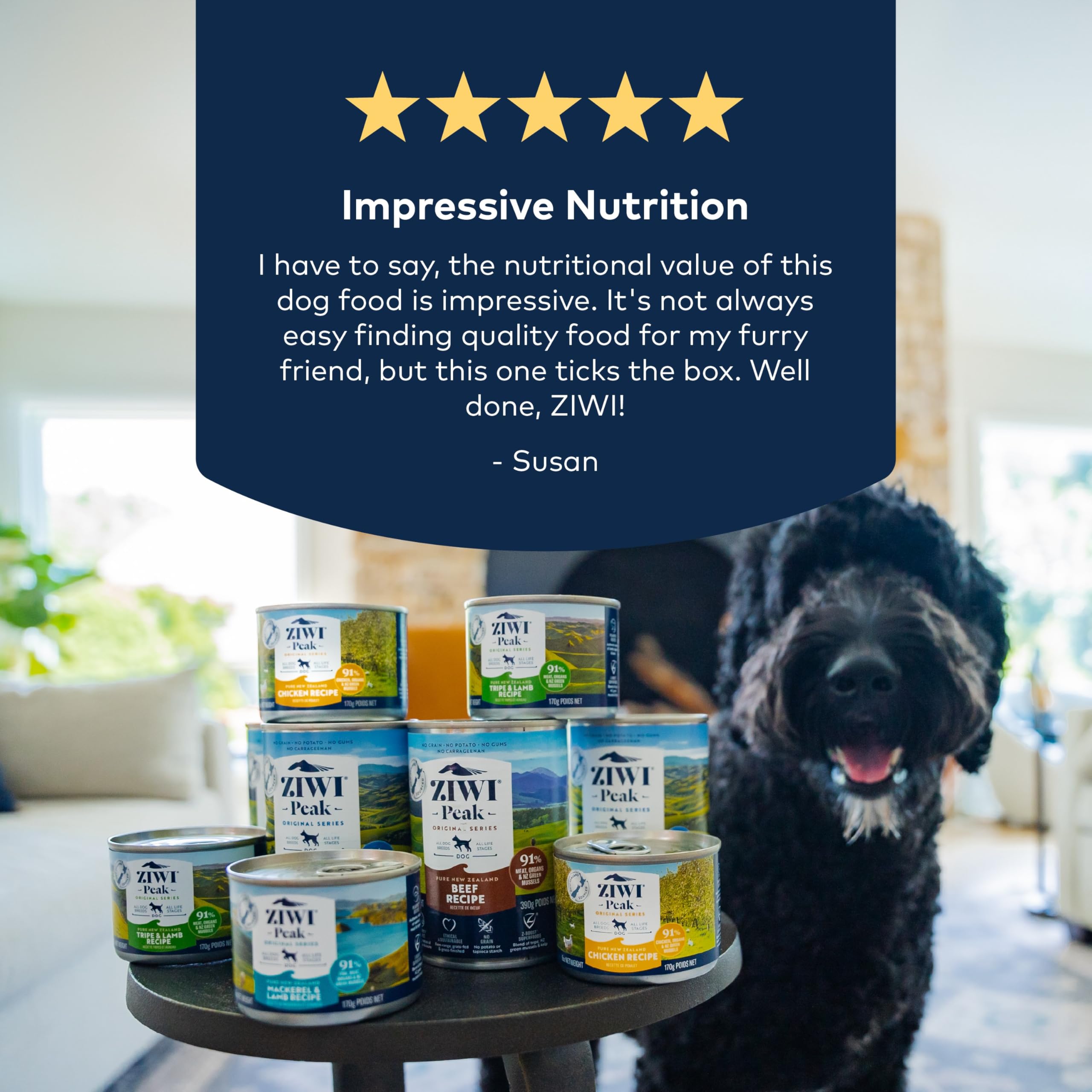 ZIWI Peak Canned Wet Dog Food - All Natural, High Protein, Grain Free, Limited Ingredient, with Superfoods (Chicken, Case of 12,