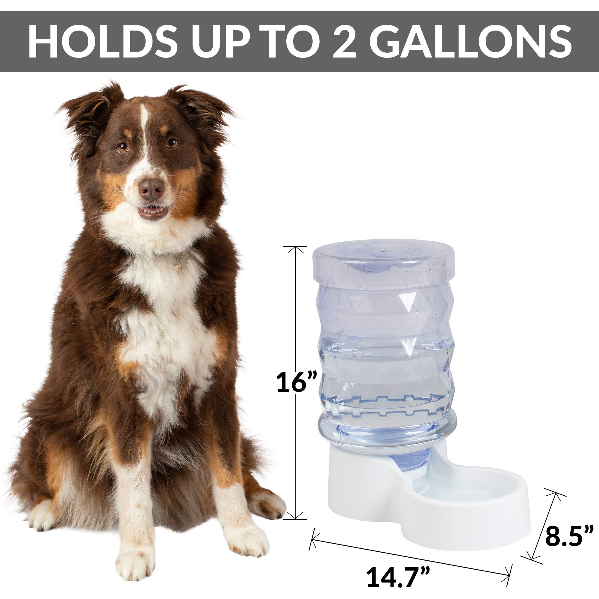 Petfusion H2O Gravity Pet Water Dispenser. Durable 2.5 Gallon Water Feeder. Automatic Water Station For Cats & Small, Medium, La