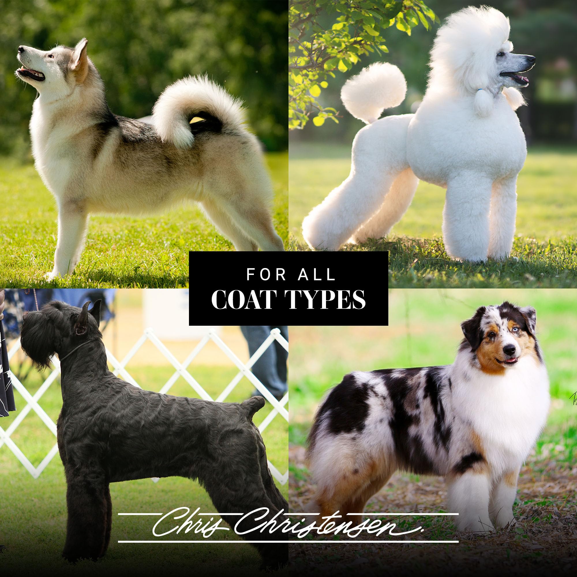 Chris Christensen Spectrum Ten Dog Shampoo, Groom Like A Professional, Gentle Cleansing, Gorgeous Shine, Made In Usa, 3.8L